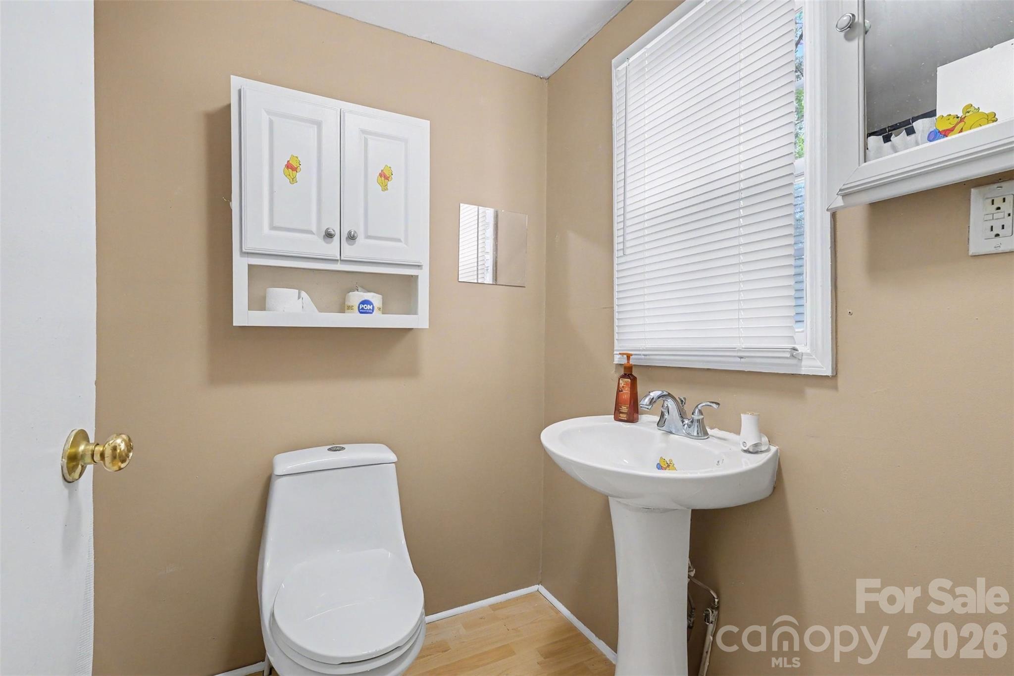 207 Morris Street Property Photo 18