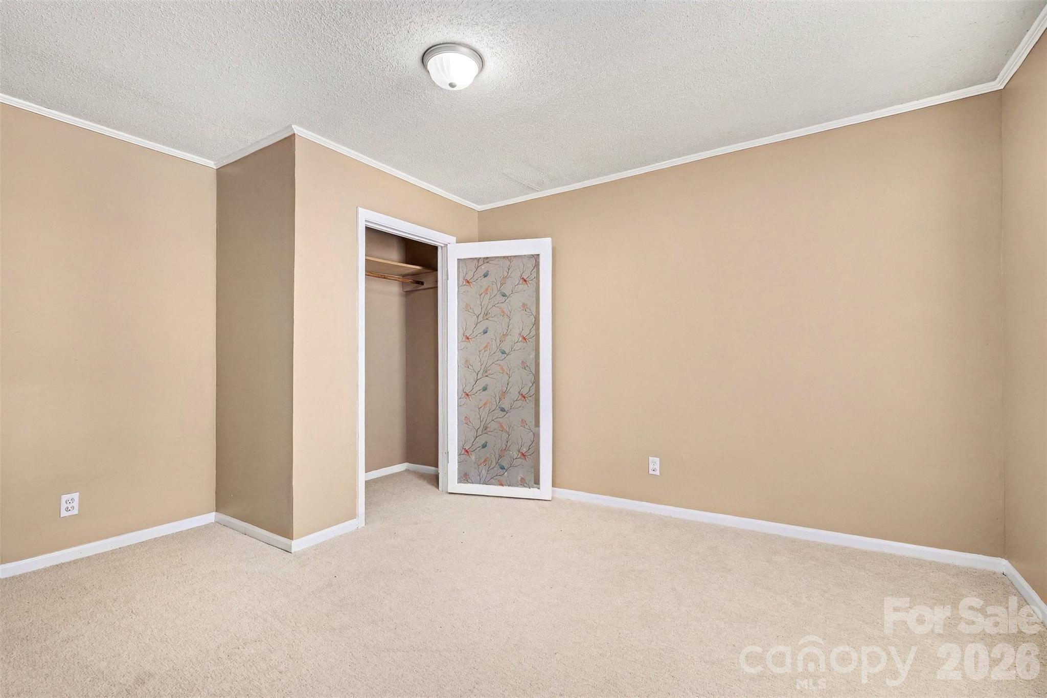 207 Morris Street Property Photo 19