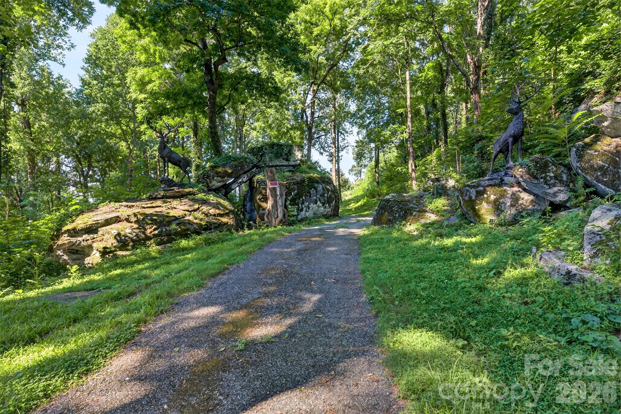 370 Mountain Side Drive Property Photo 18