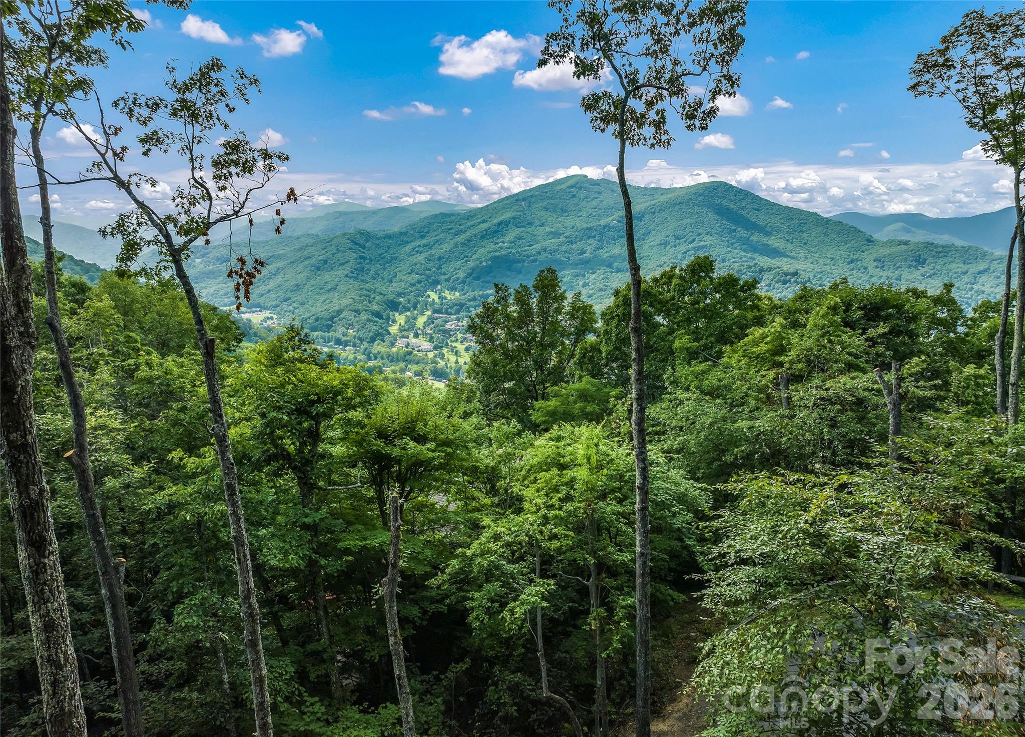 582 Tsalagi Trail Property Photo 4