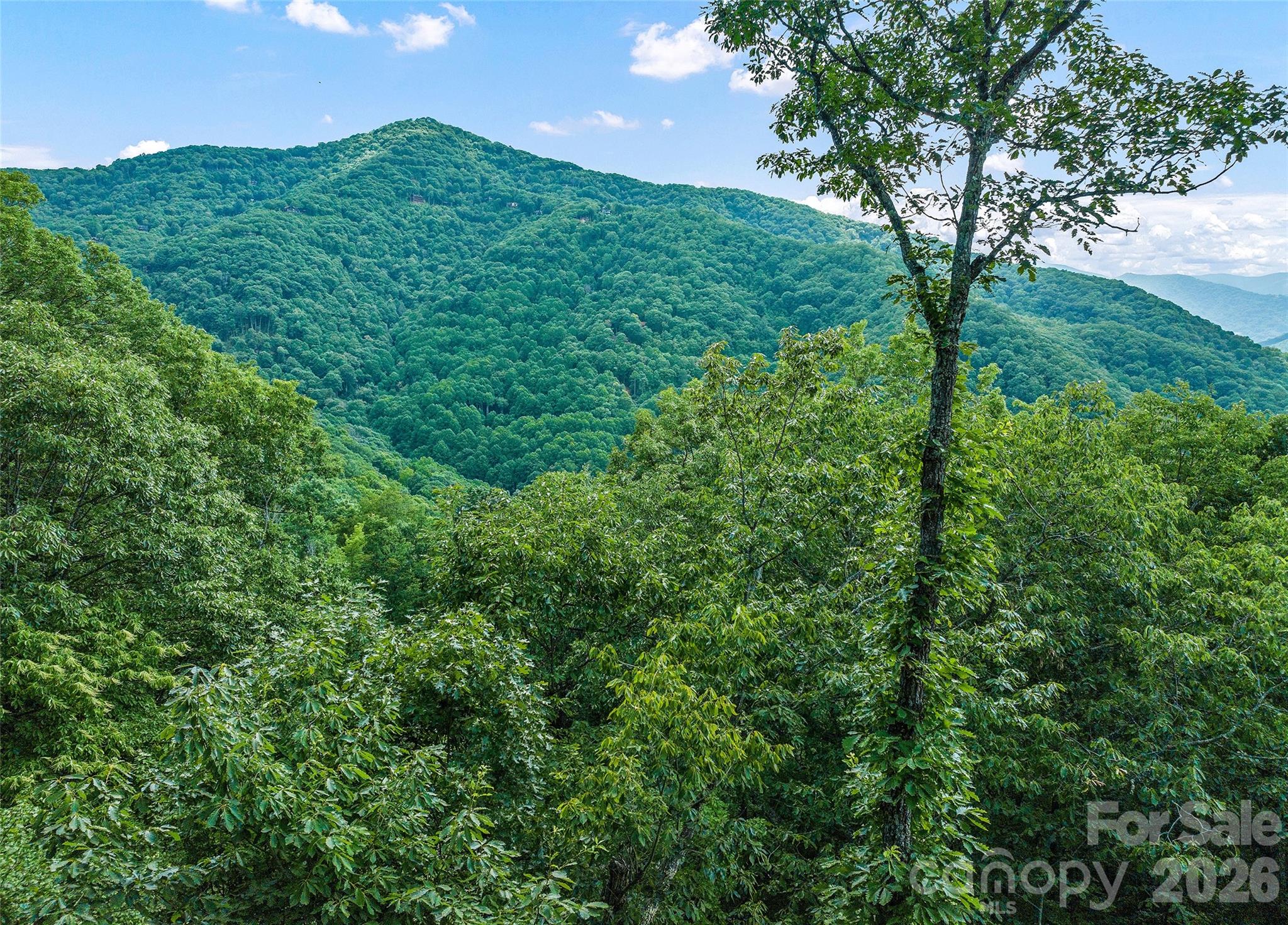 582 Tsalagi Trail Property Photo 6