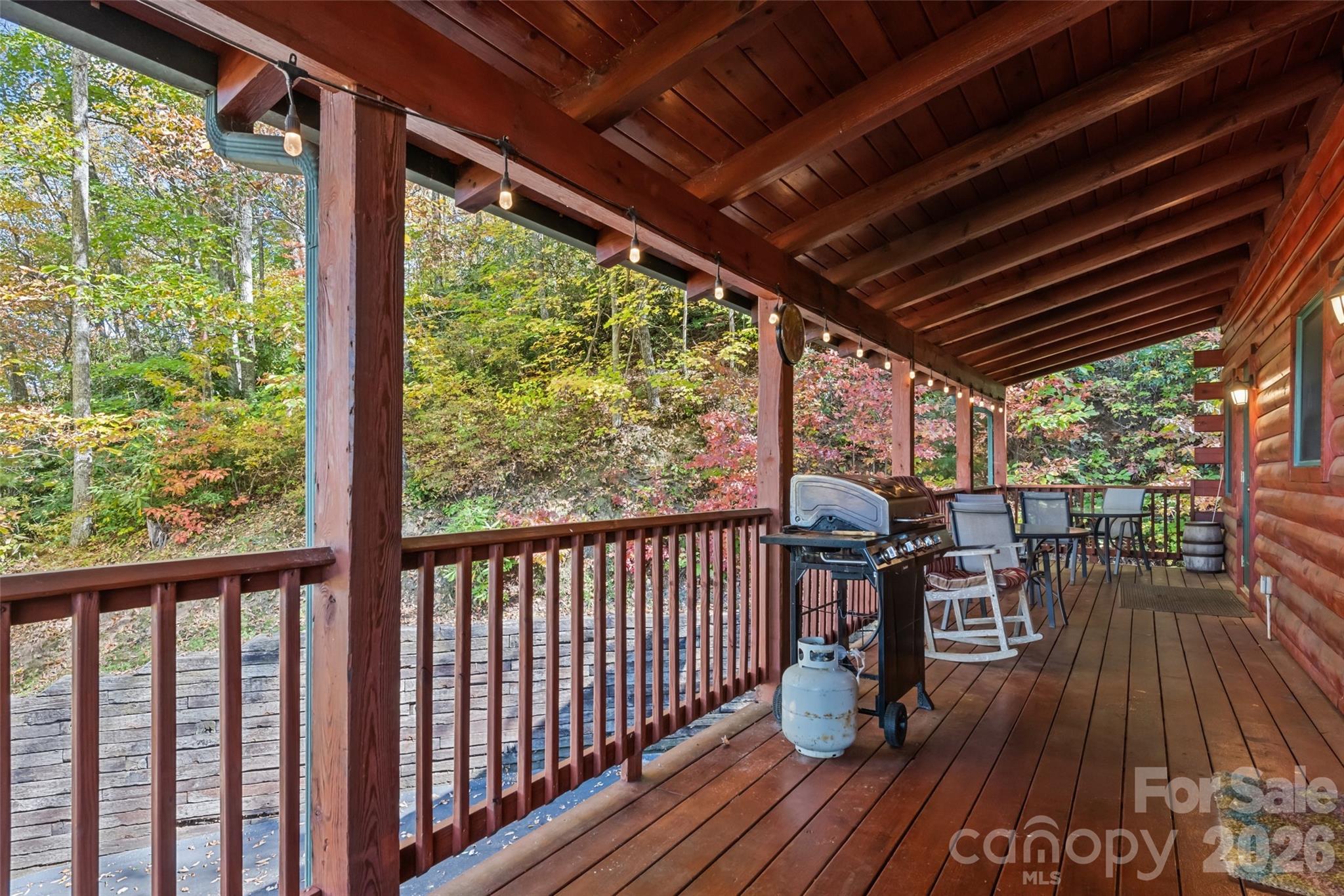 582 Tsalagi Trail Property Photo 40