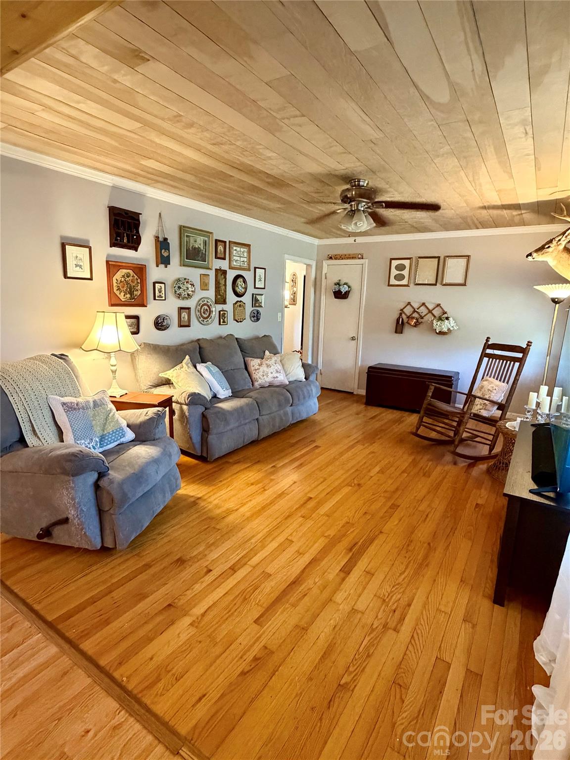 114 Chaney Street Property Photo 13