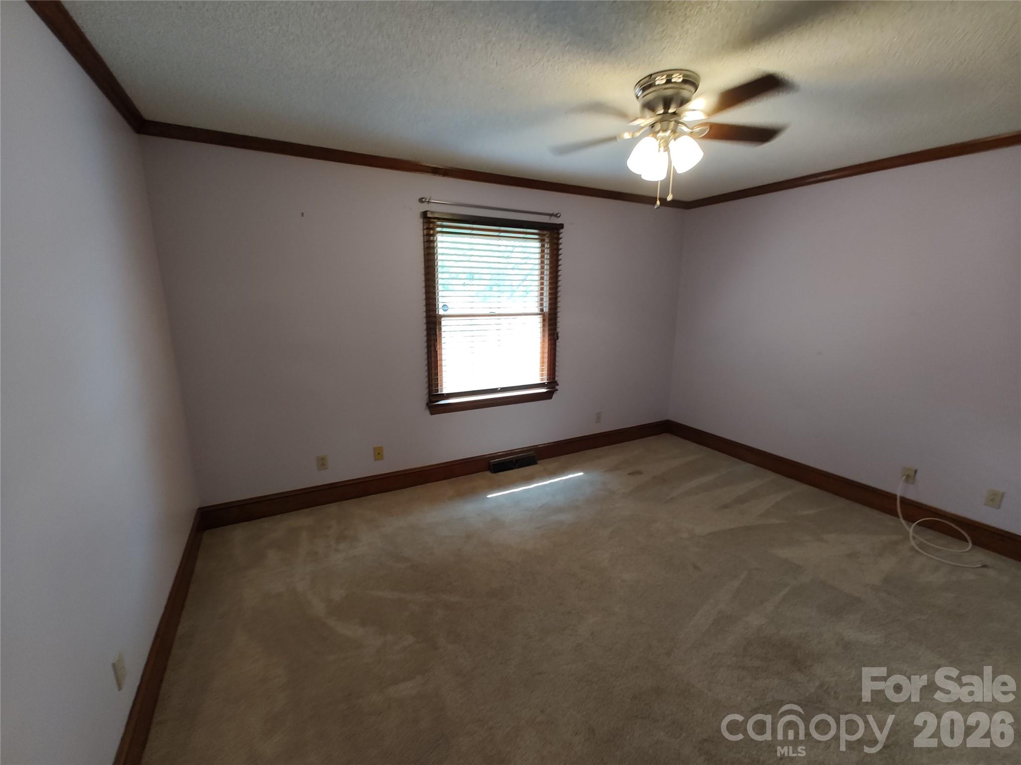 104 Swaim Court Property Photo 17