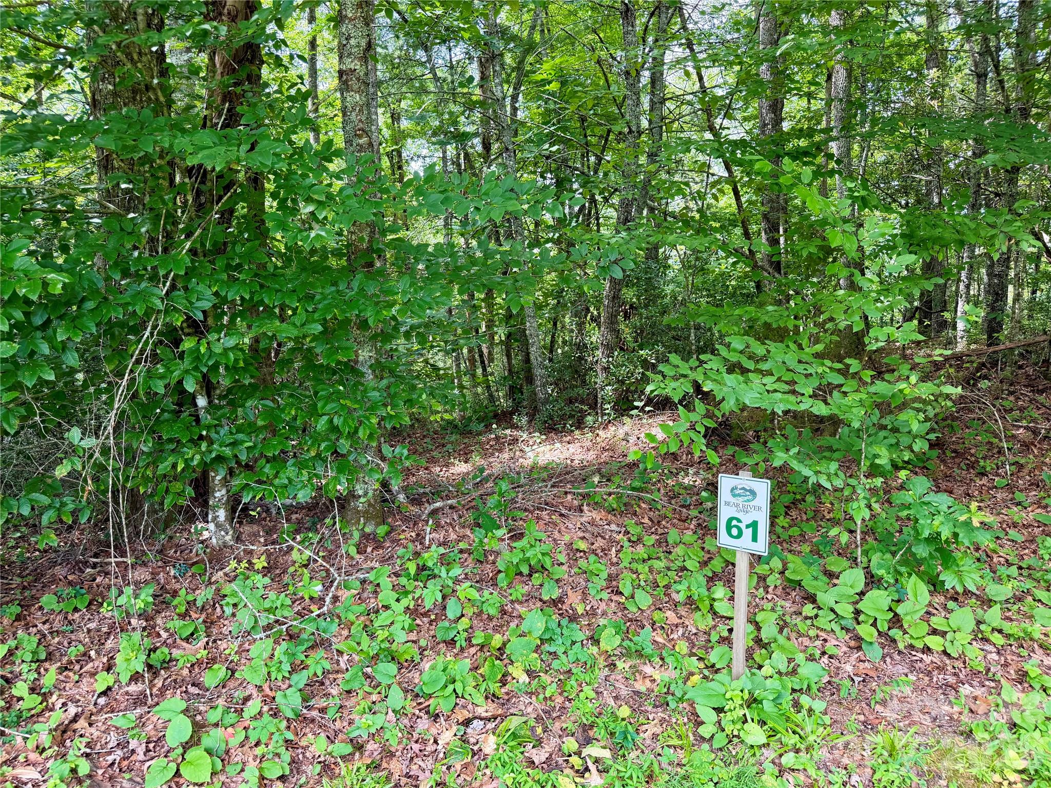 1156 Bear River Lodge Trail Property Photo 7