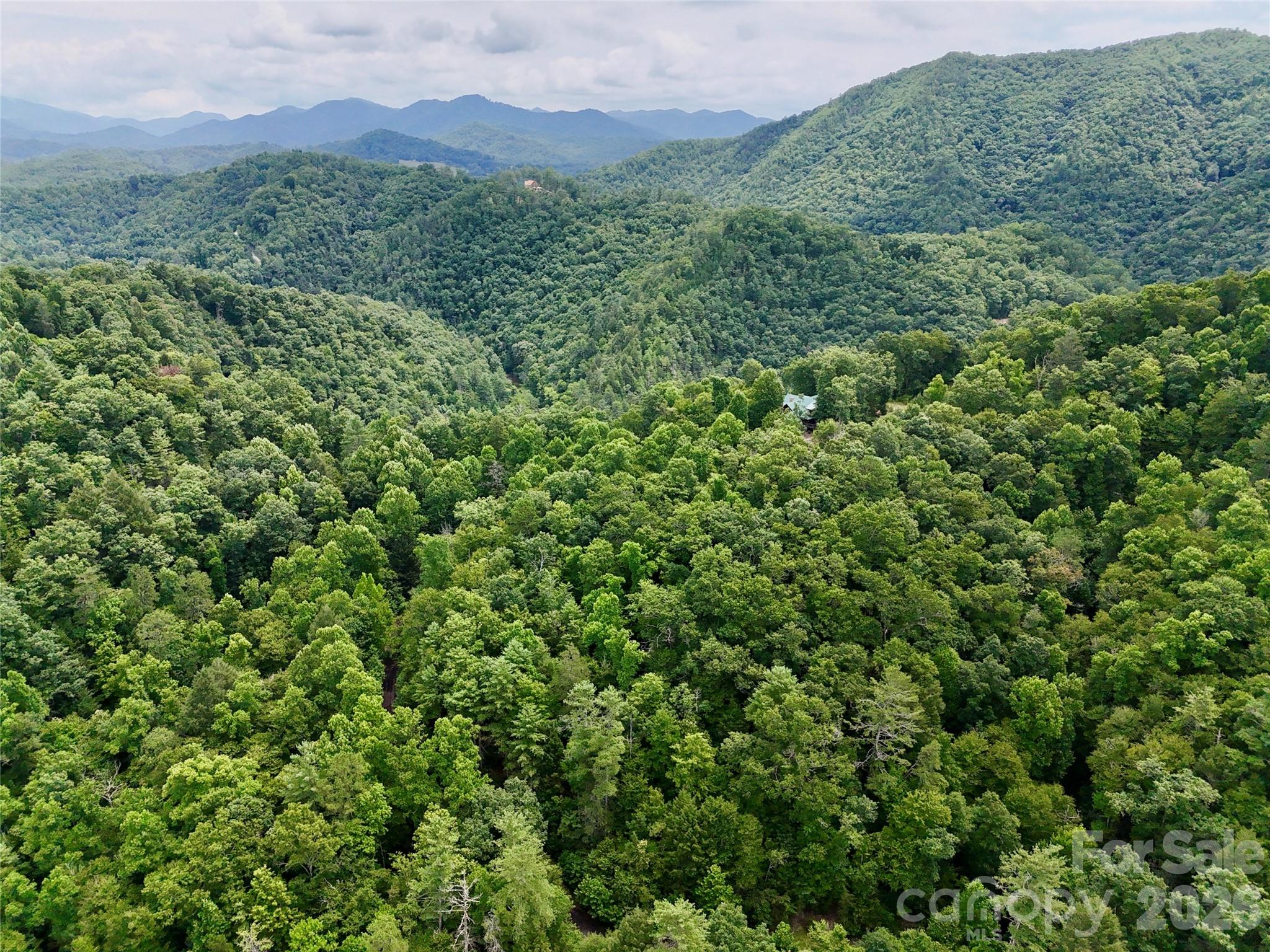 1156 Bear River Lodge Trail Property Photo 15