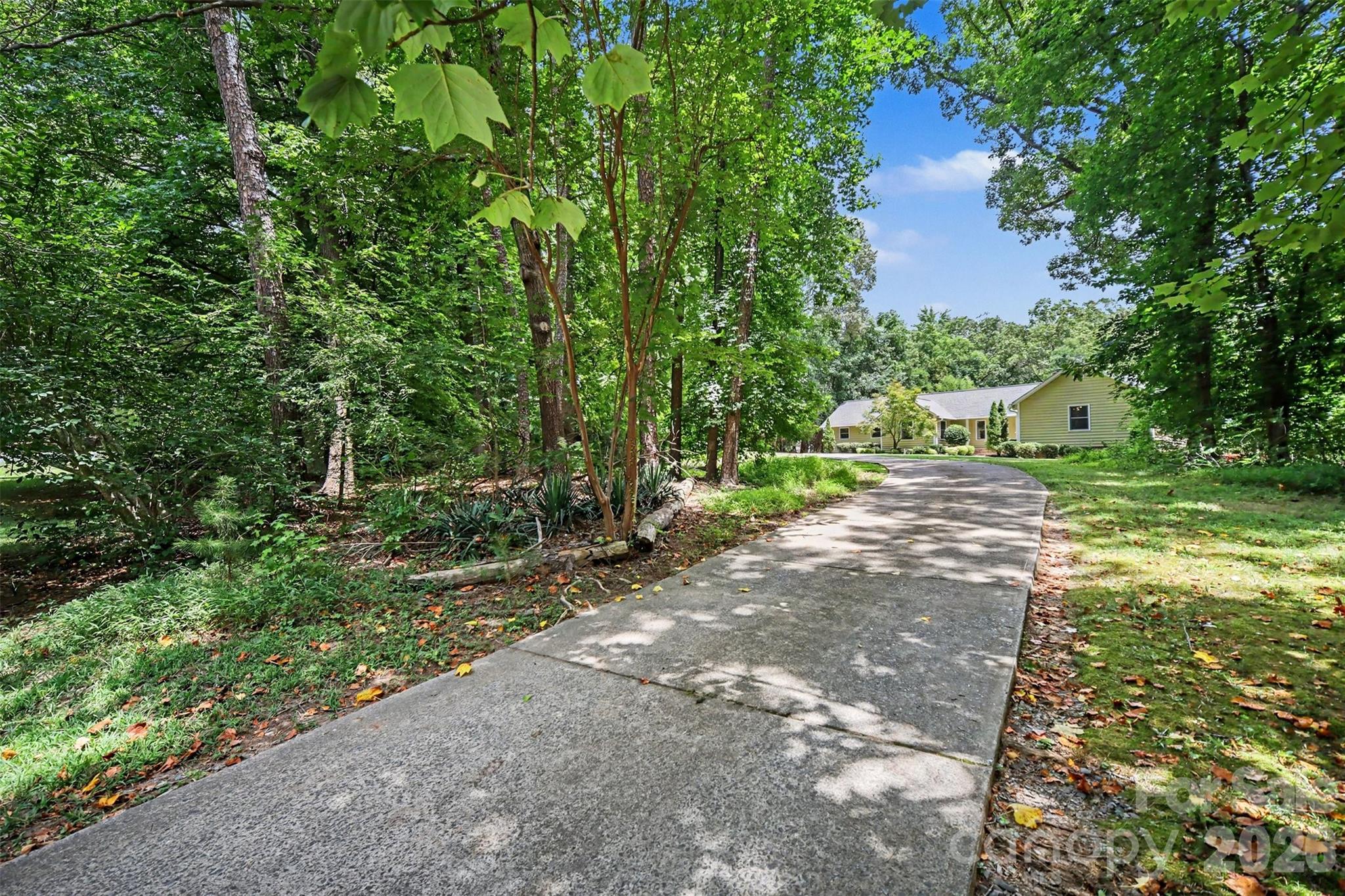 519 Raintree Drive Property Photo 44