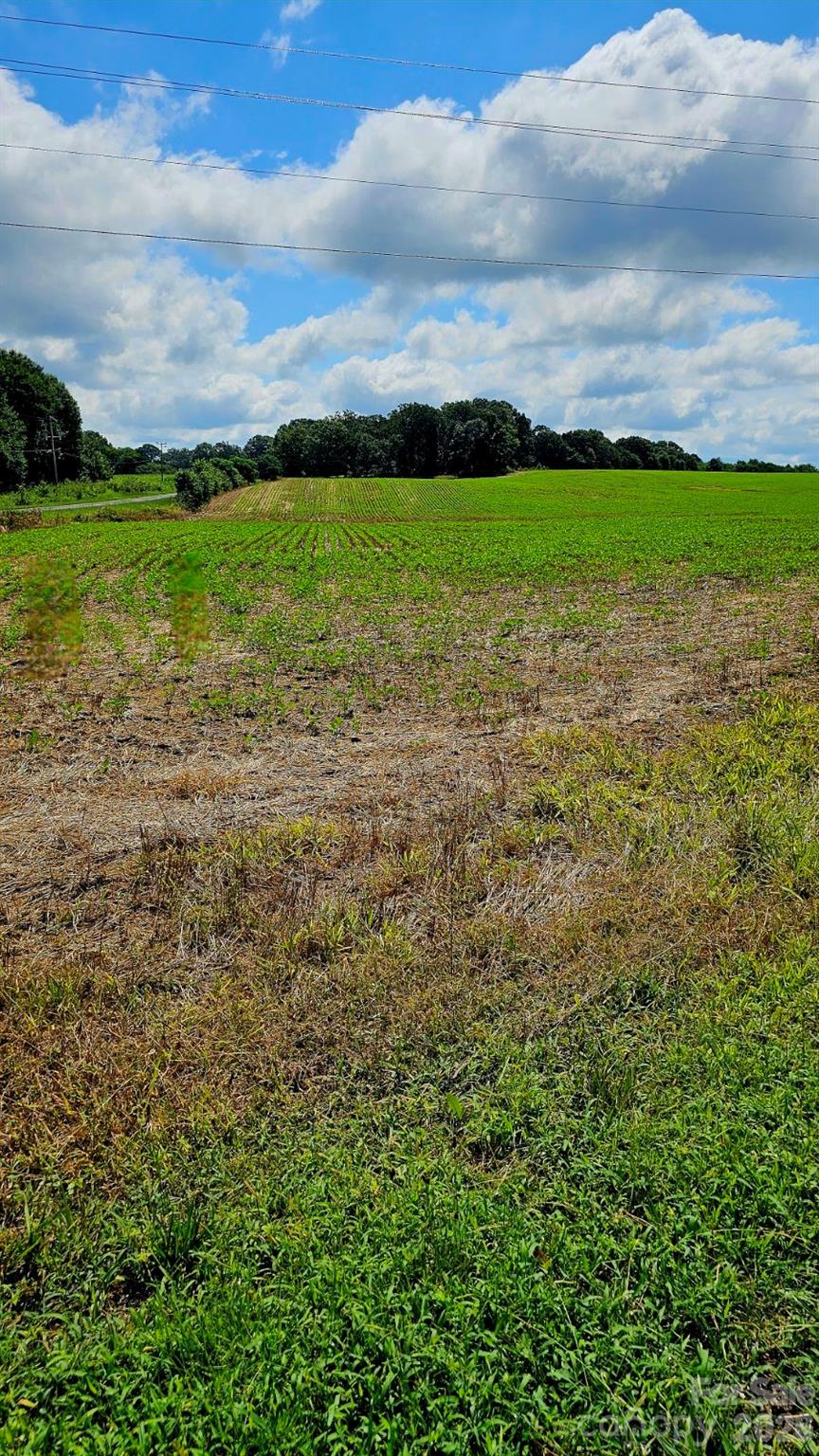 1490 Pork Road Property Photo 1