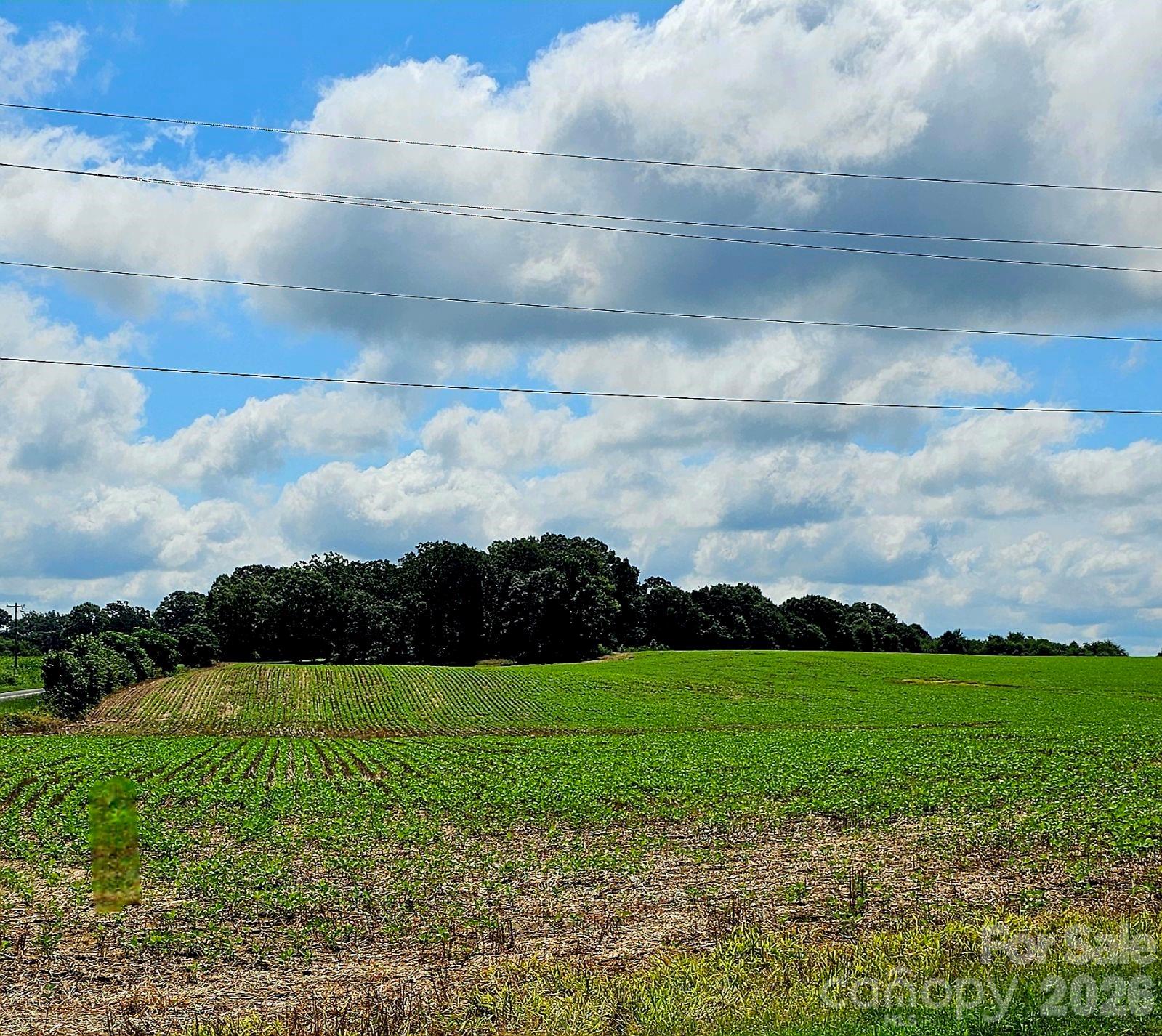 1490 Pork Road Property Photo 2