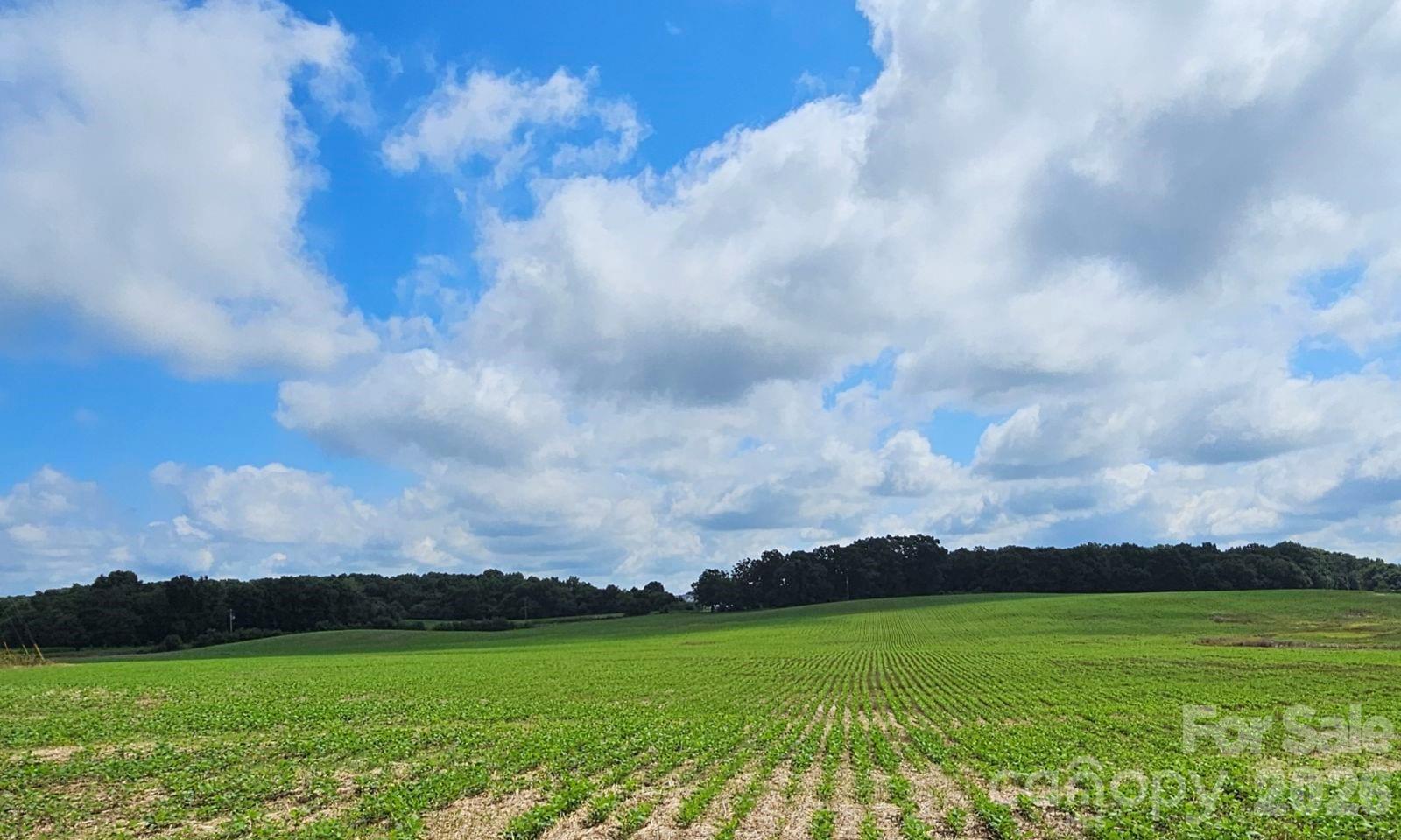 1490 Pork Road Property Photo 4