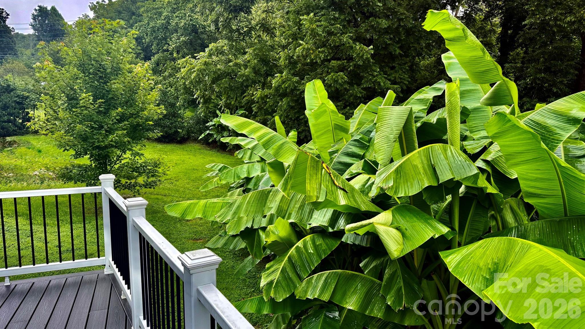 5 Northlake Drive Property Photo 47