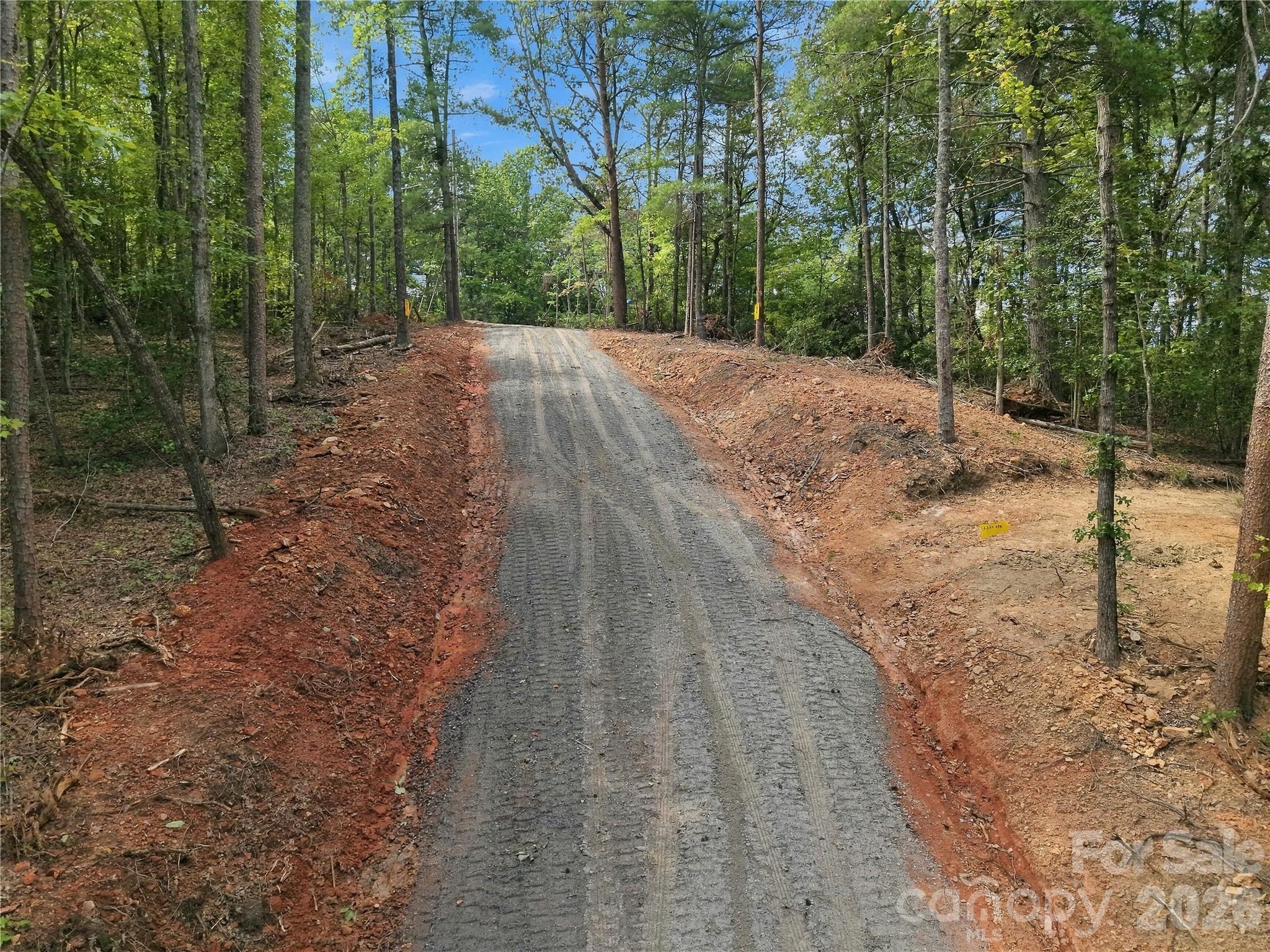 Tbd Gus Peeler Road 4 Property Photo 1
