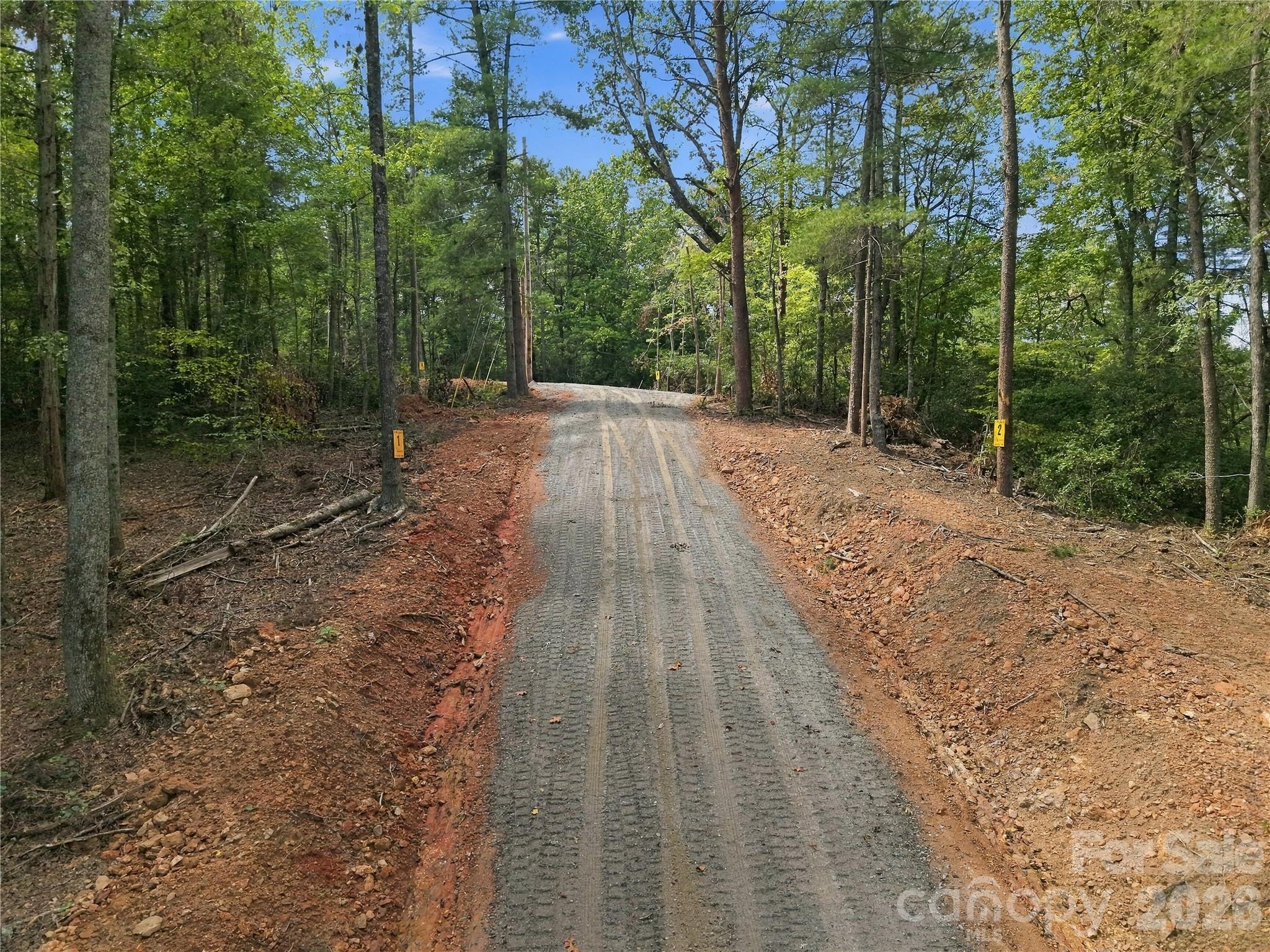 Tbd Gus Peeler Road 4 Property Photo 5