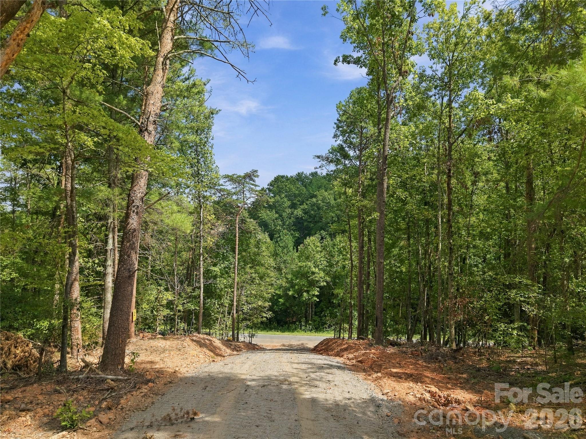 Tbd Gus Peeler Road 4 Property Photo 7