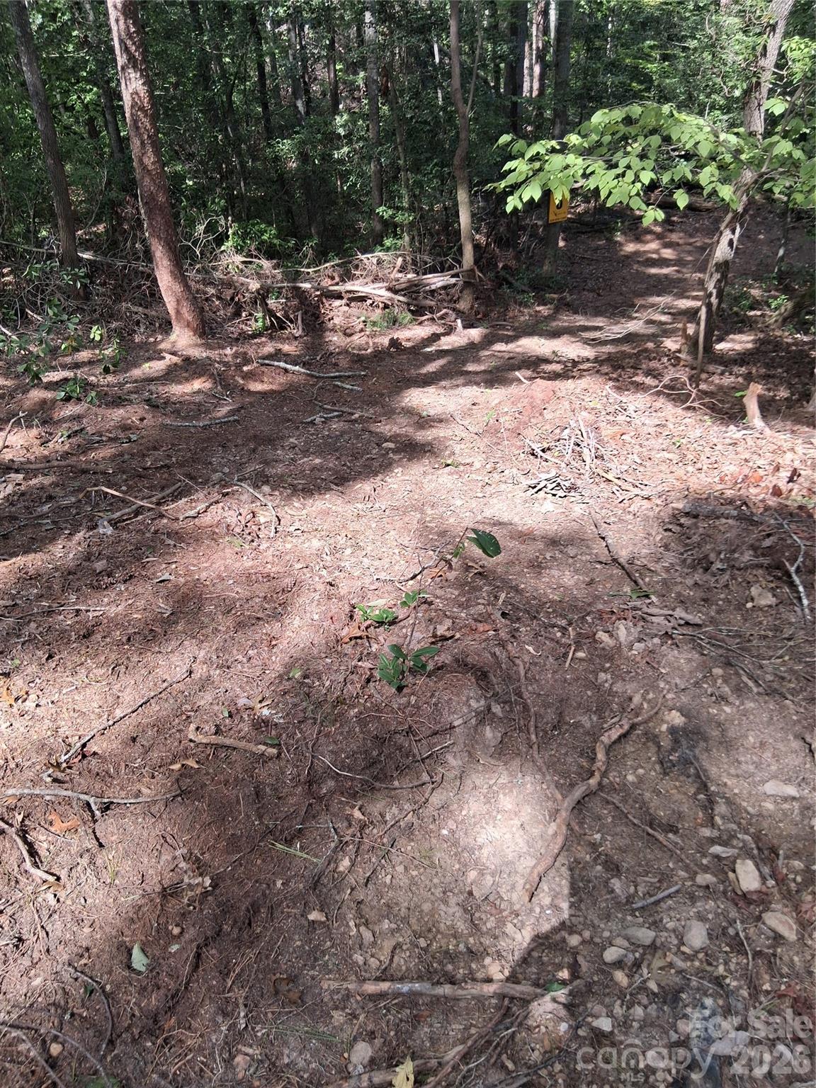 Tbd Gus Peeler Road 4 Property Photo 12