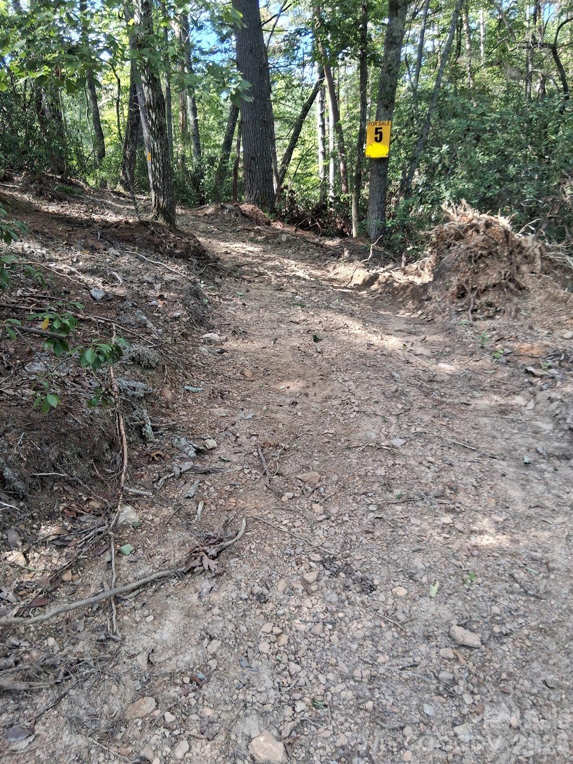 Tbd Gus Peeler Road 4 Property Photo 13