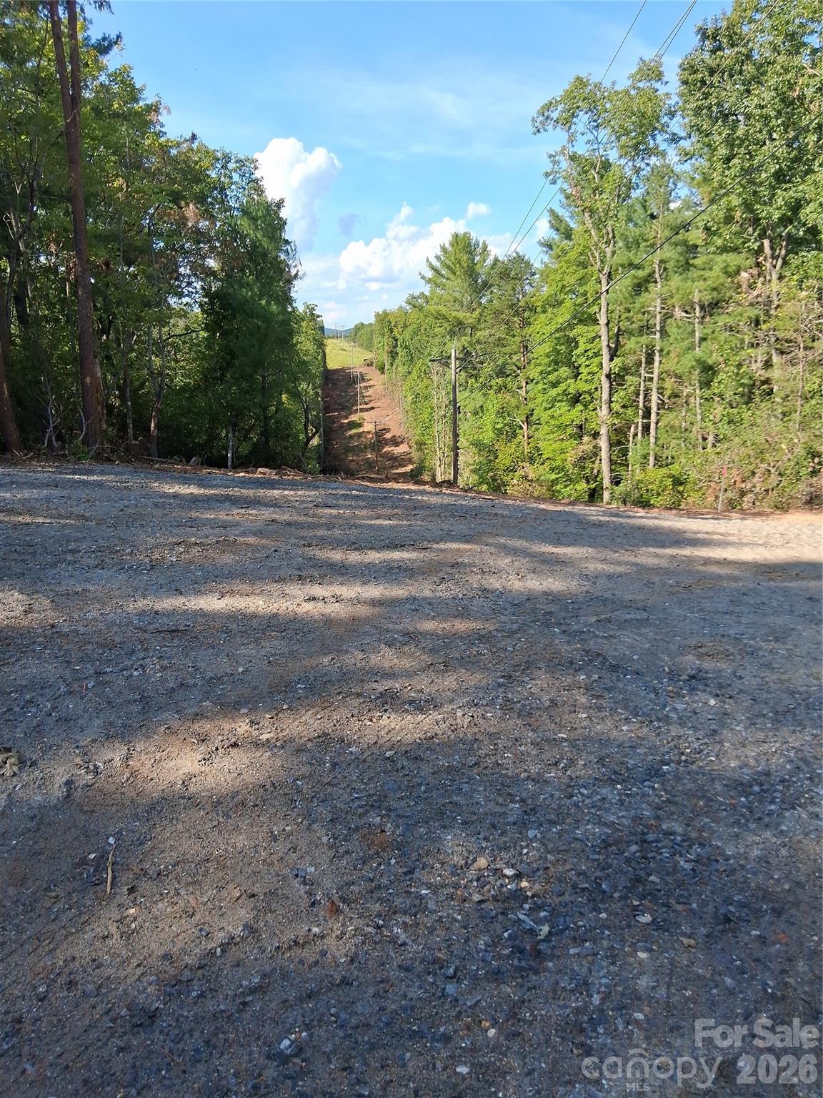 Tbd Gus Peeler Road 4 Property Photo 17