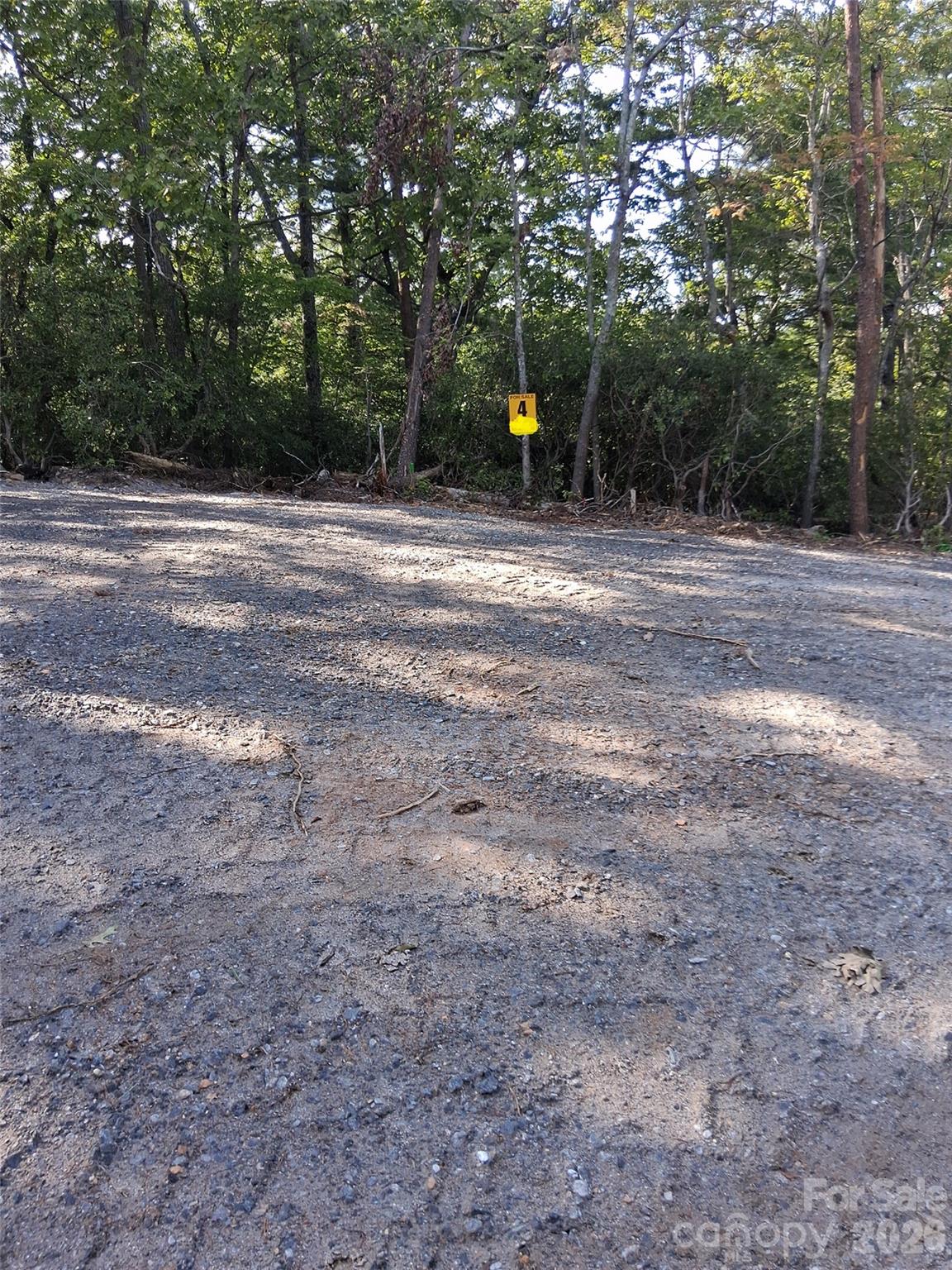 Tbd Gus Peeler Road 6 Property Photo 13
