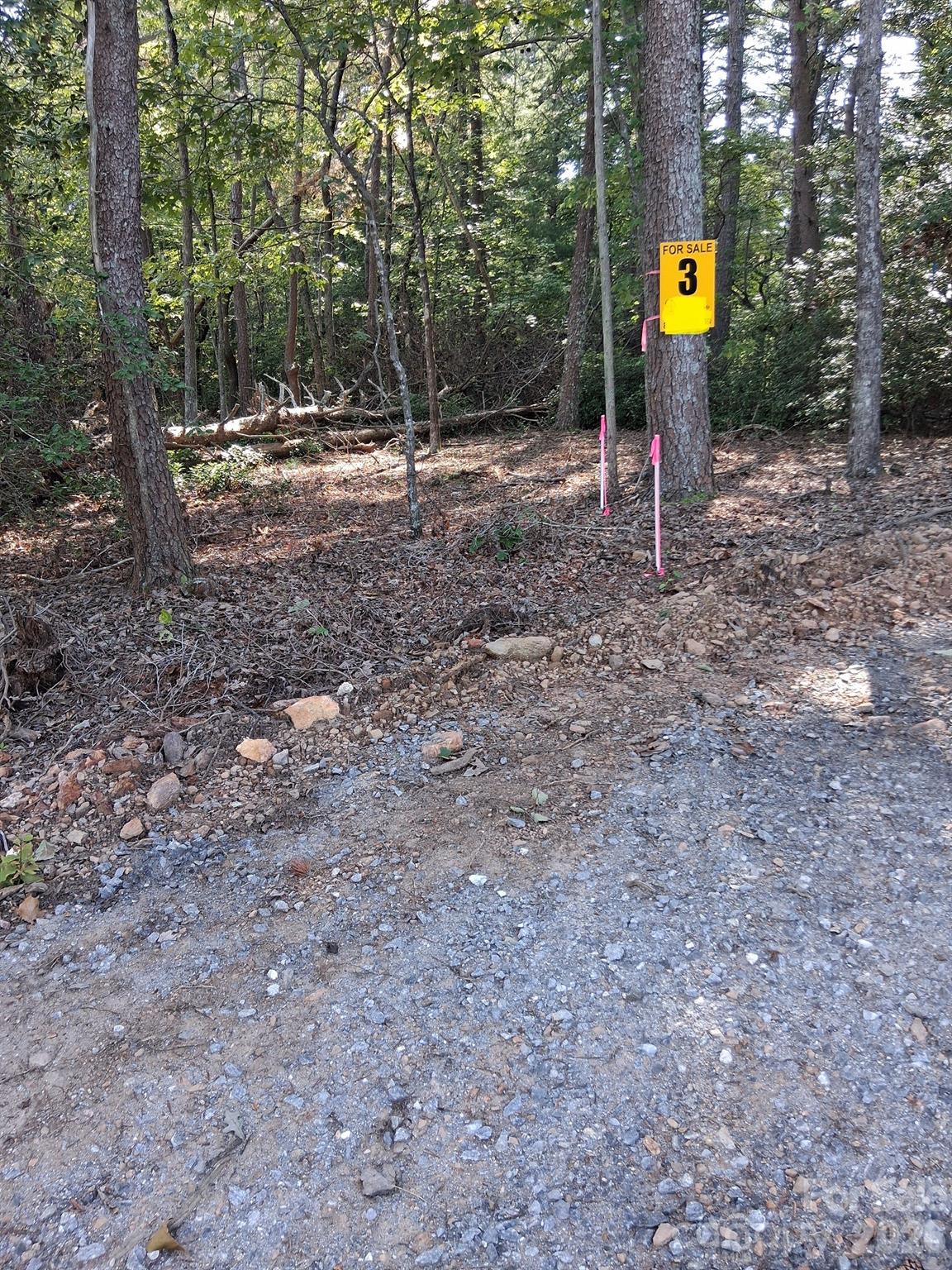 Tbd Gus Peeler Road 6 Property Photo 14