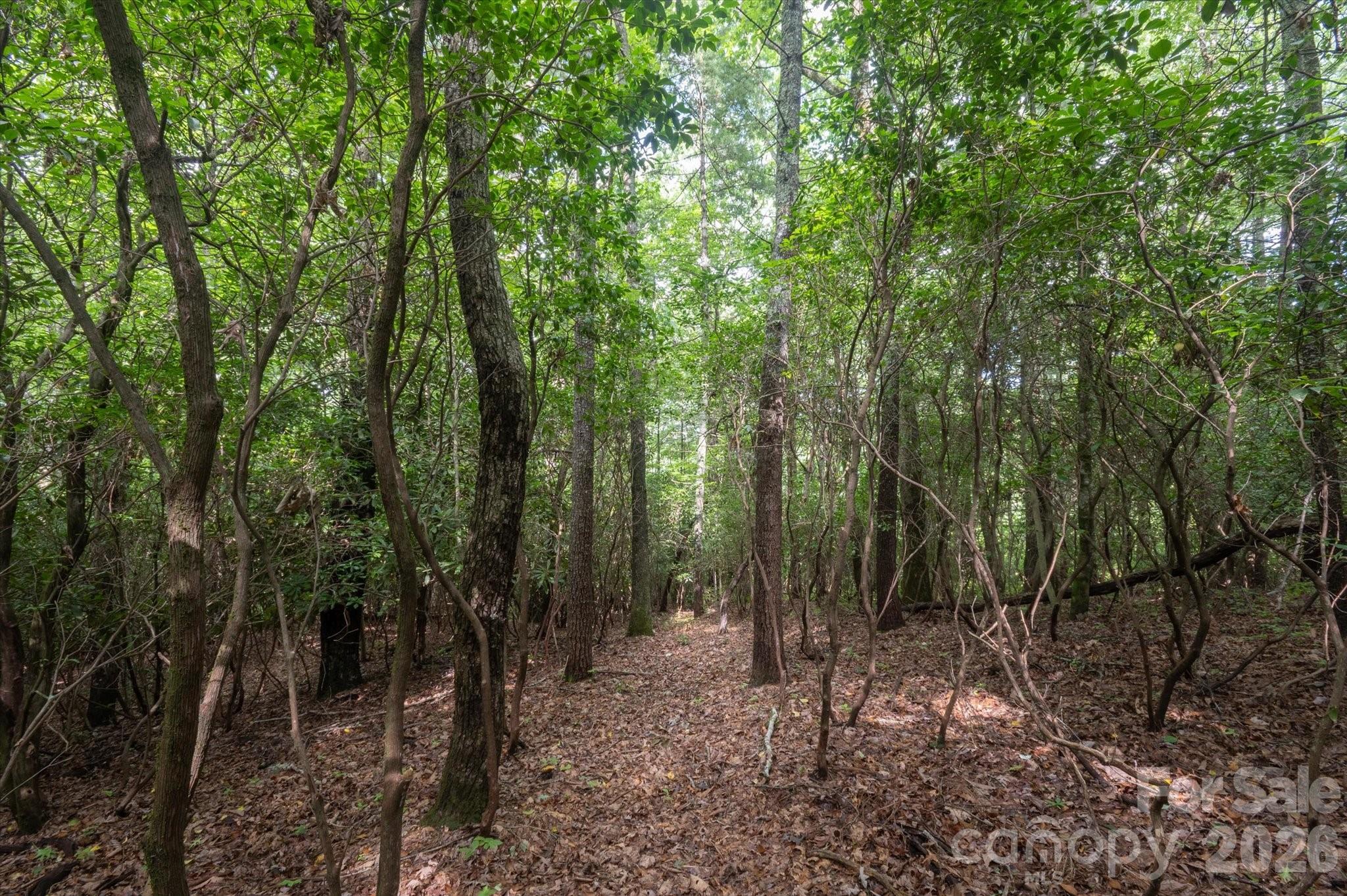 K29 Chestnut Trace K 29 Property Photo 8