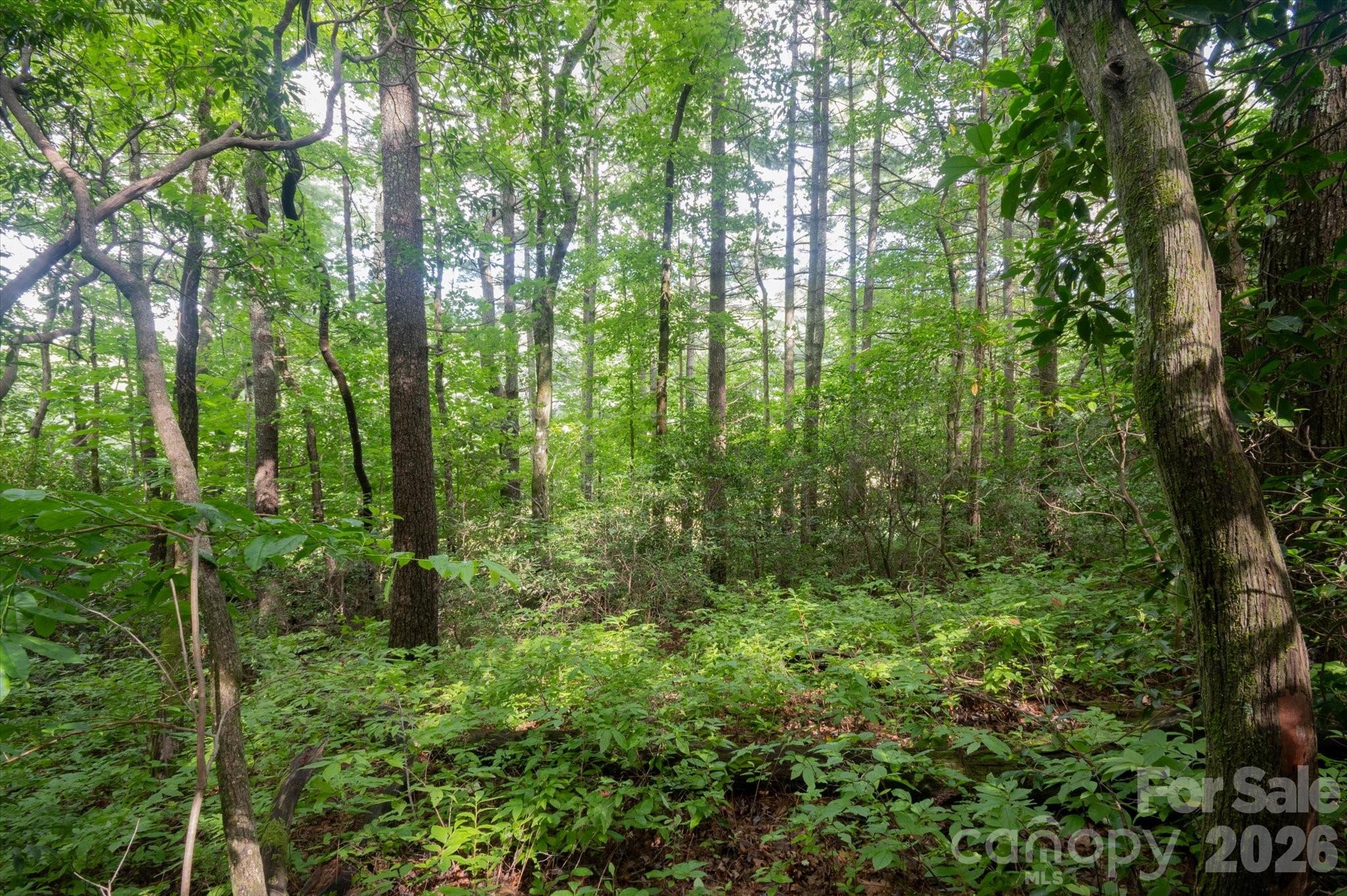 K29 Chestnut Trace K 29 Property Photo 9
