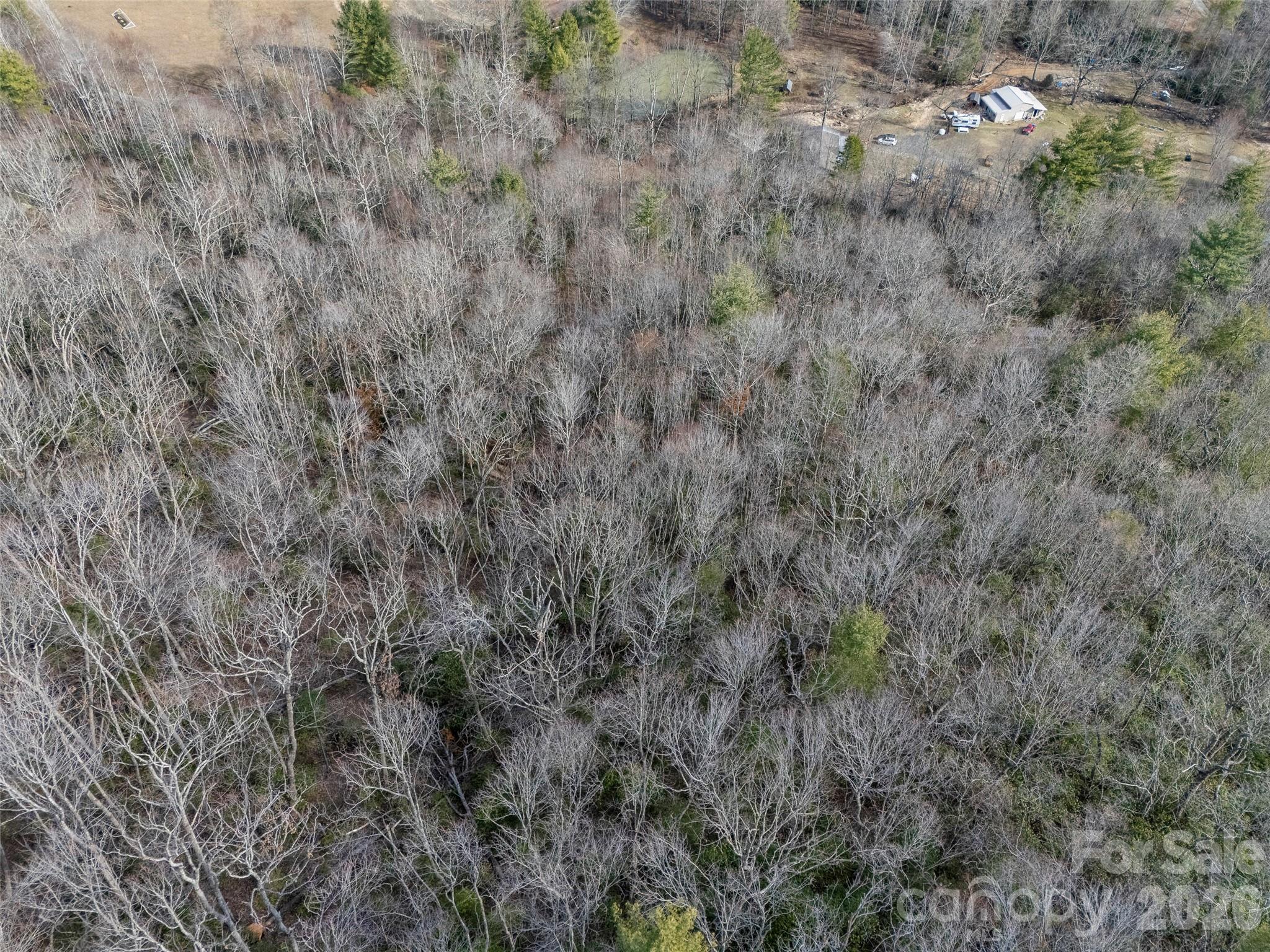 0 Murphy Branch Road Property Photo 4