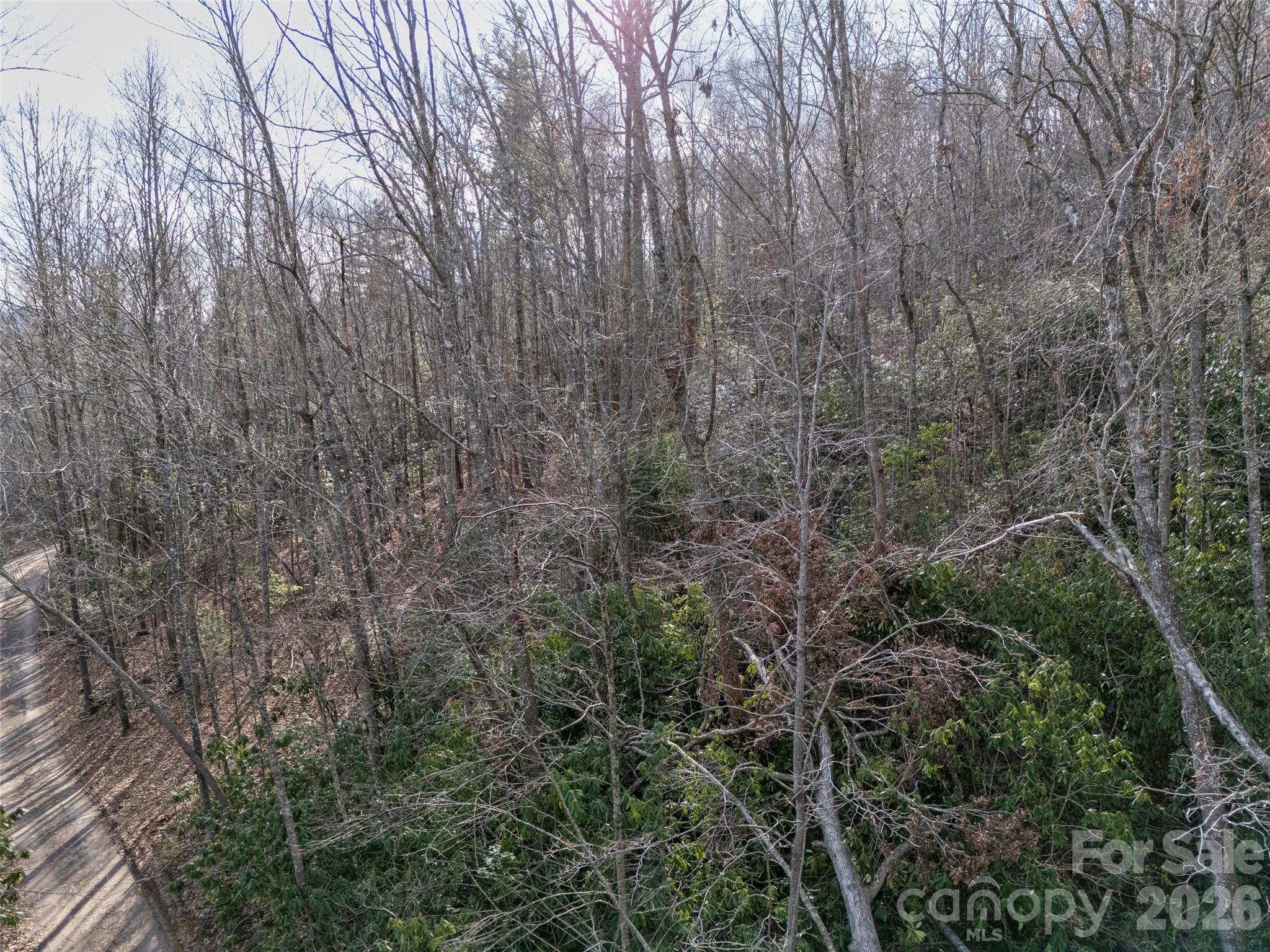 0 Murphy Branch Road Property Photo 6