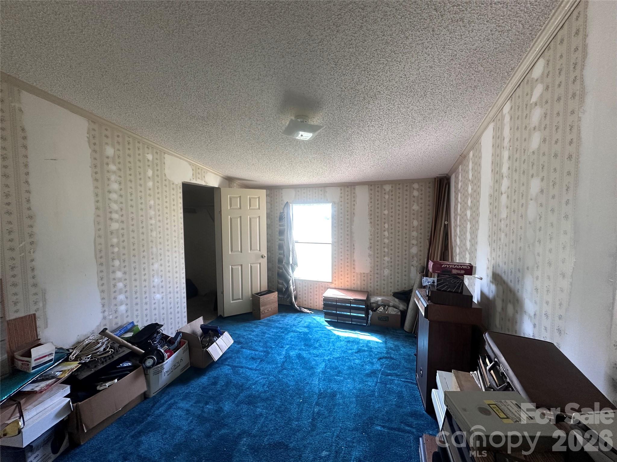 7509 Shady Oaks Road Property Photo 5
