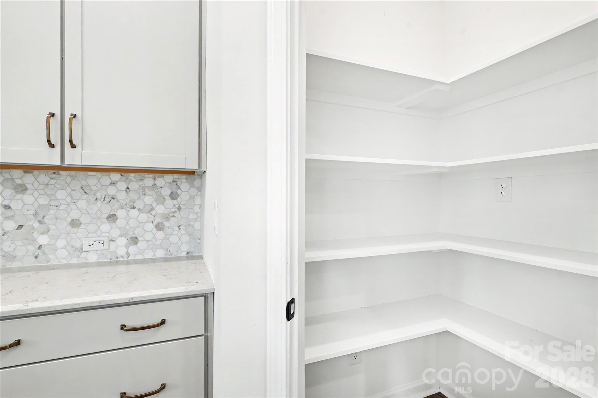 9051 Charles Francis Lane Property Photo 10