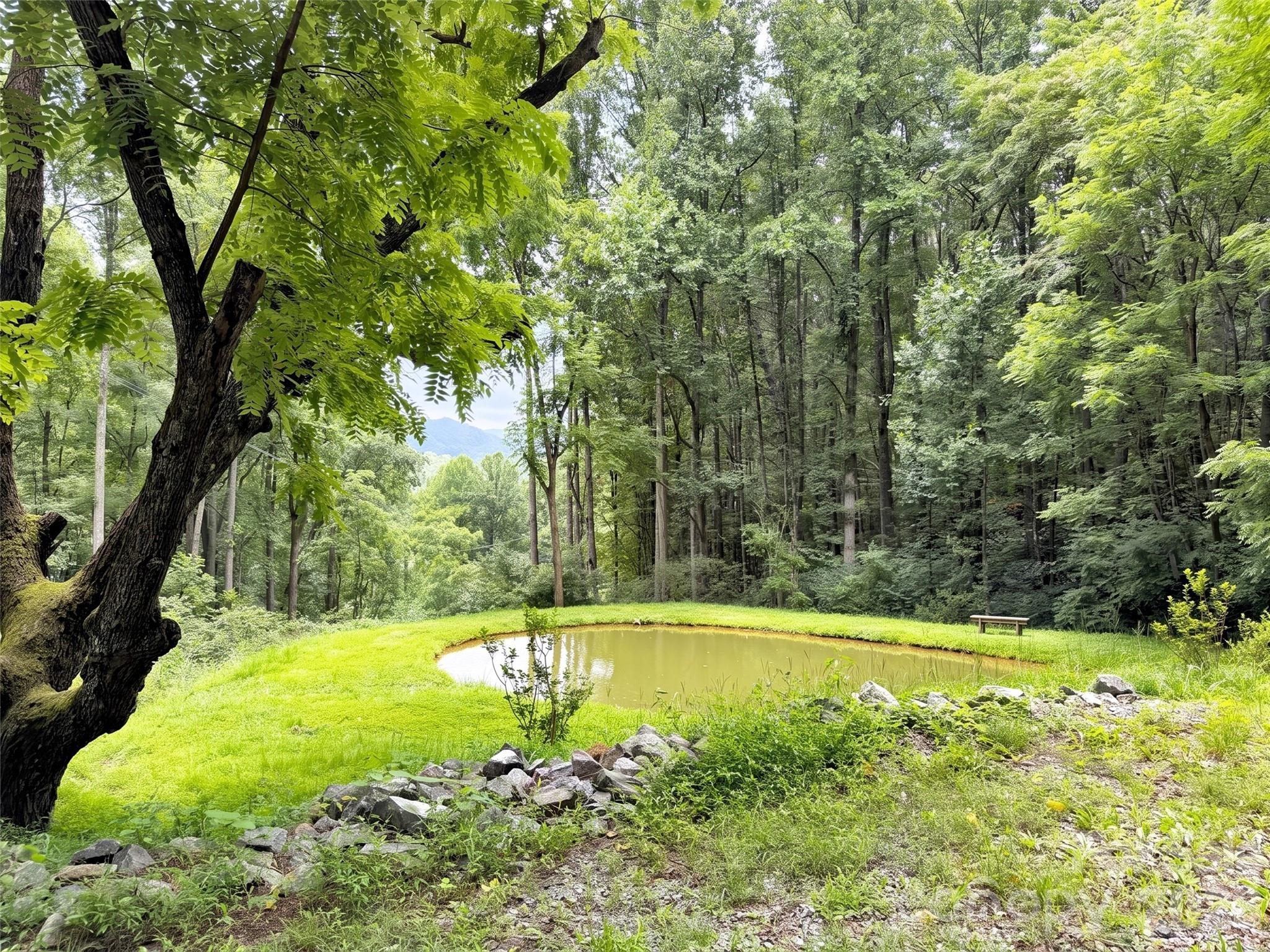 291 Incline Drive Drive Property Photo 45