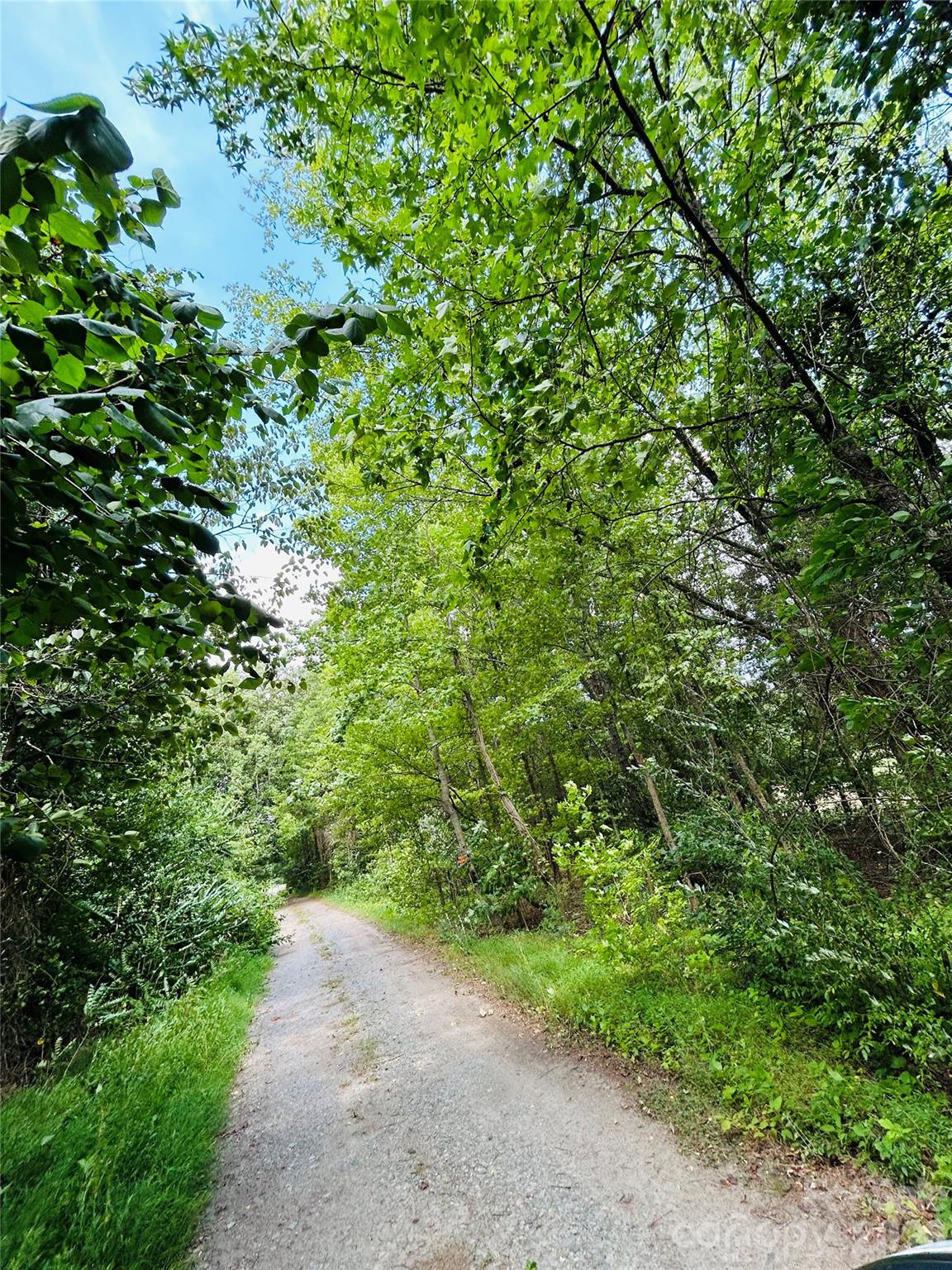 11342 Mccoy Road Property Photo 2