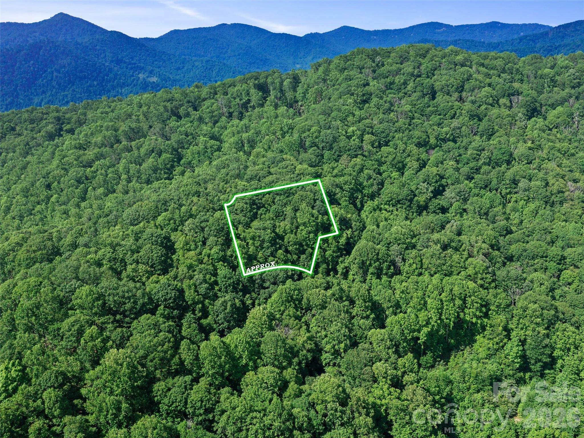 0 Lotties Creek Road Property Photo 3
