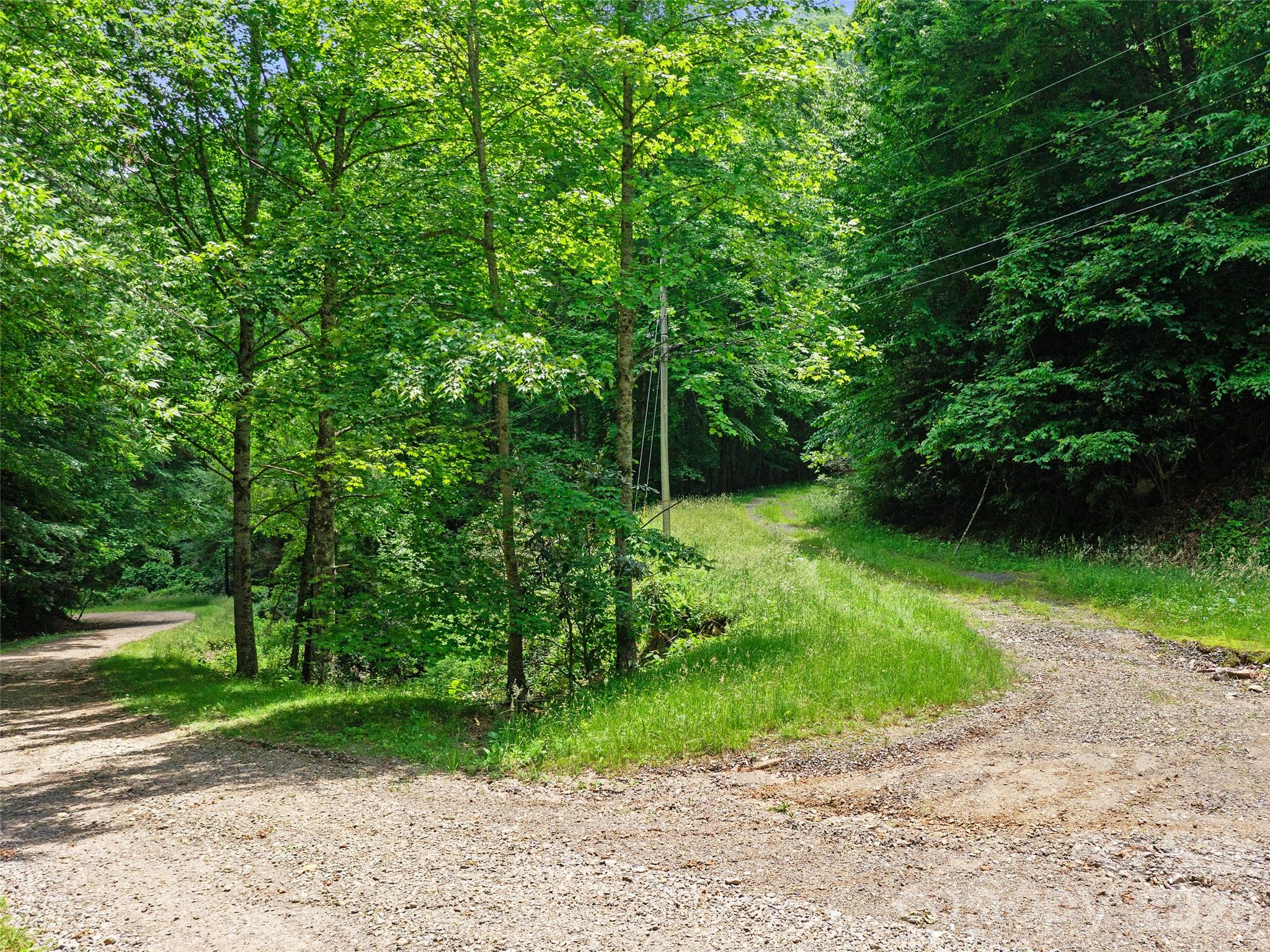 0 Lotties Creek Road Property Photo 8