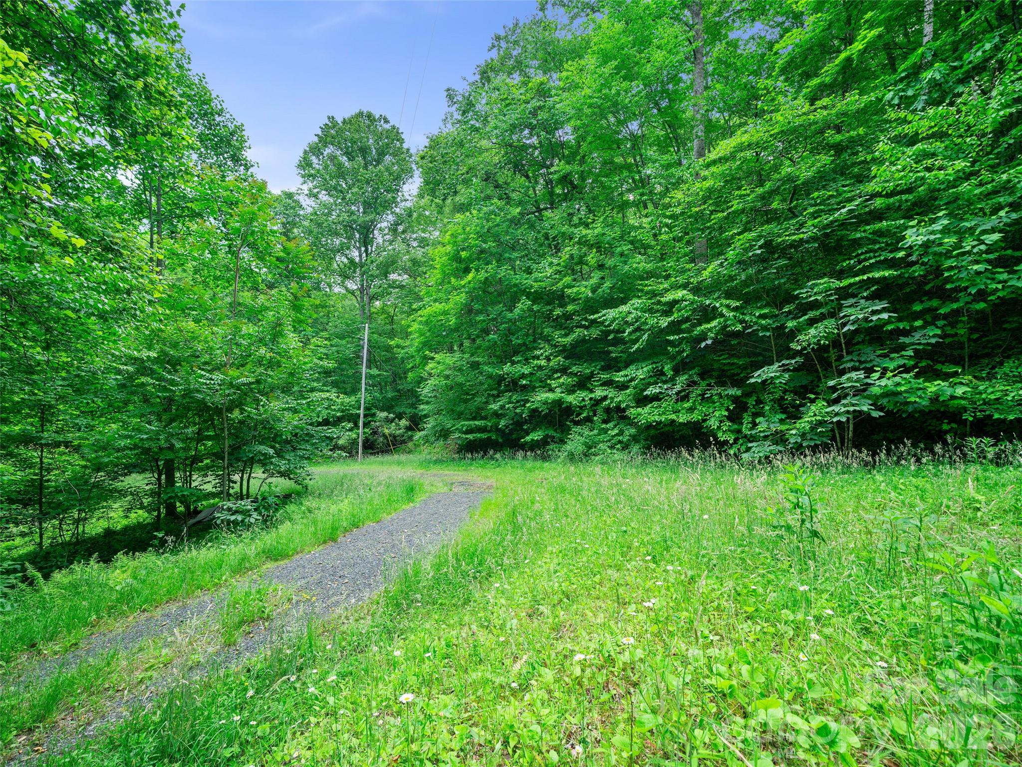 0 Lotties Creek Road Property Photo 11