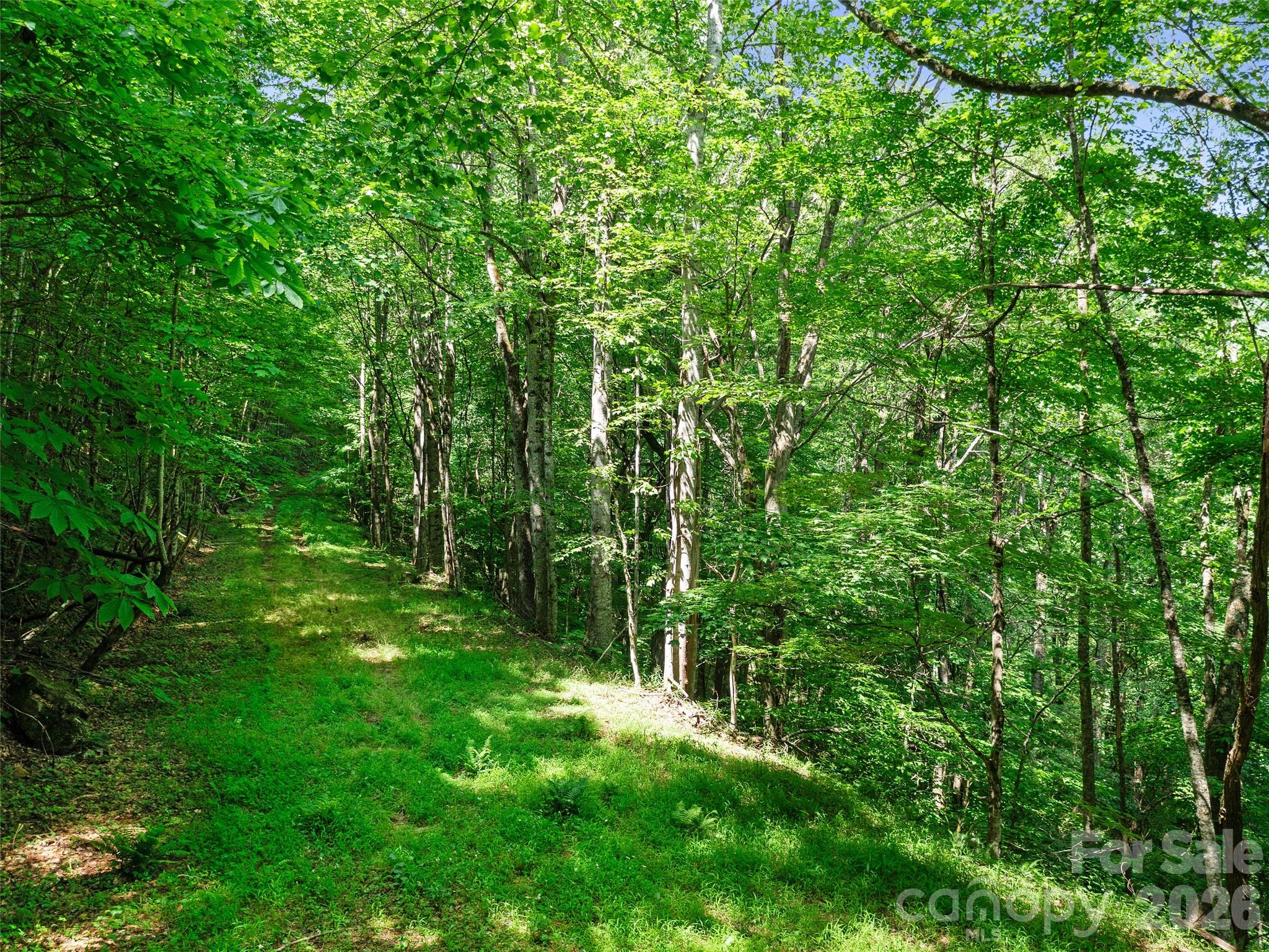 0 Lotties Creek Road Property Photo 14