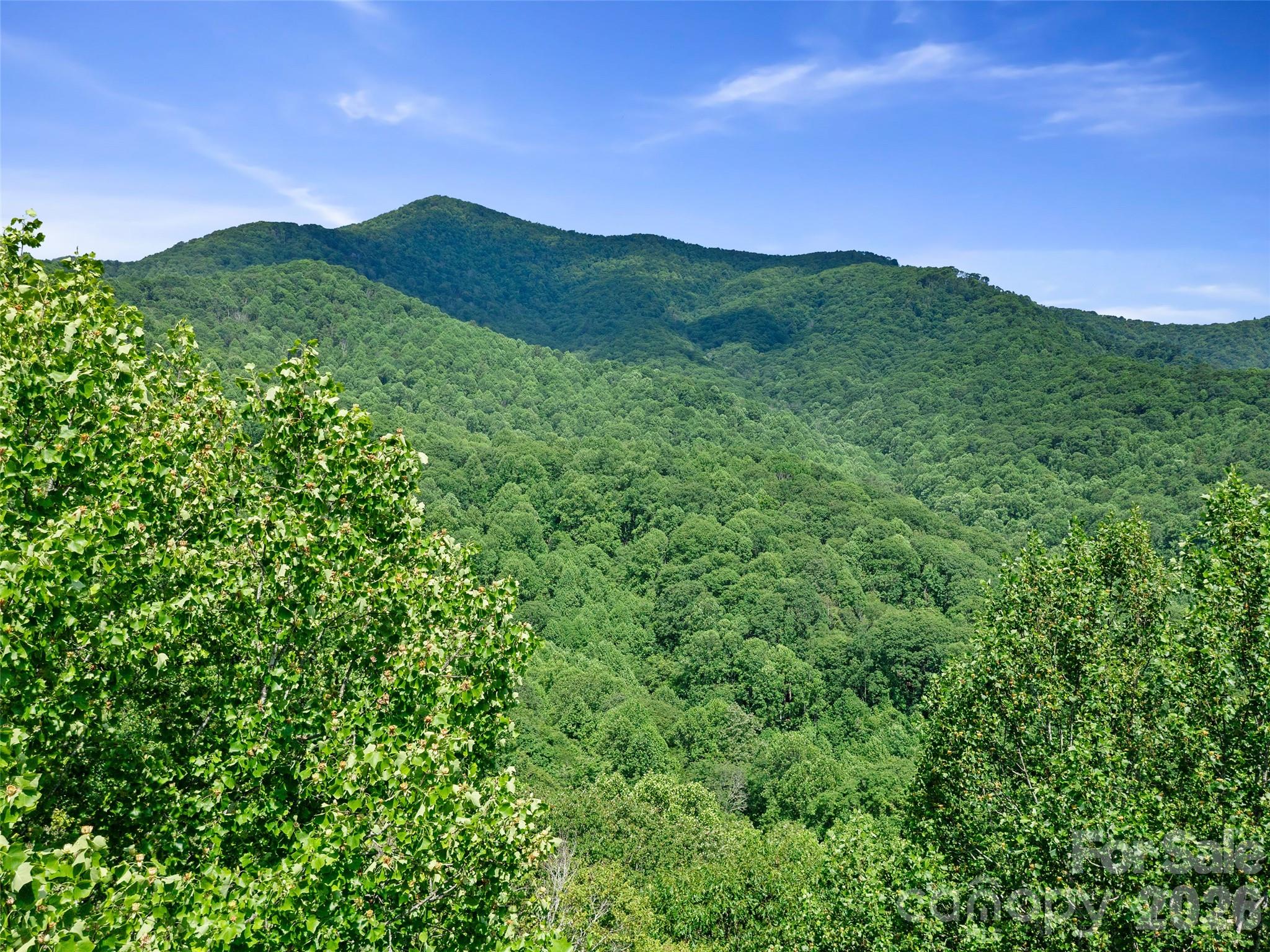 0 Lotties Creek Road Property Photo 15