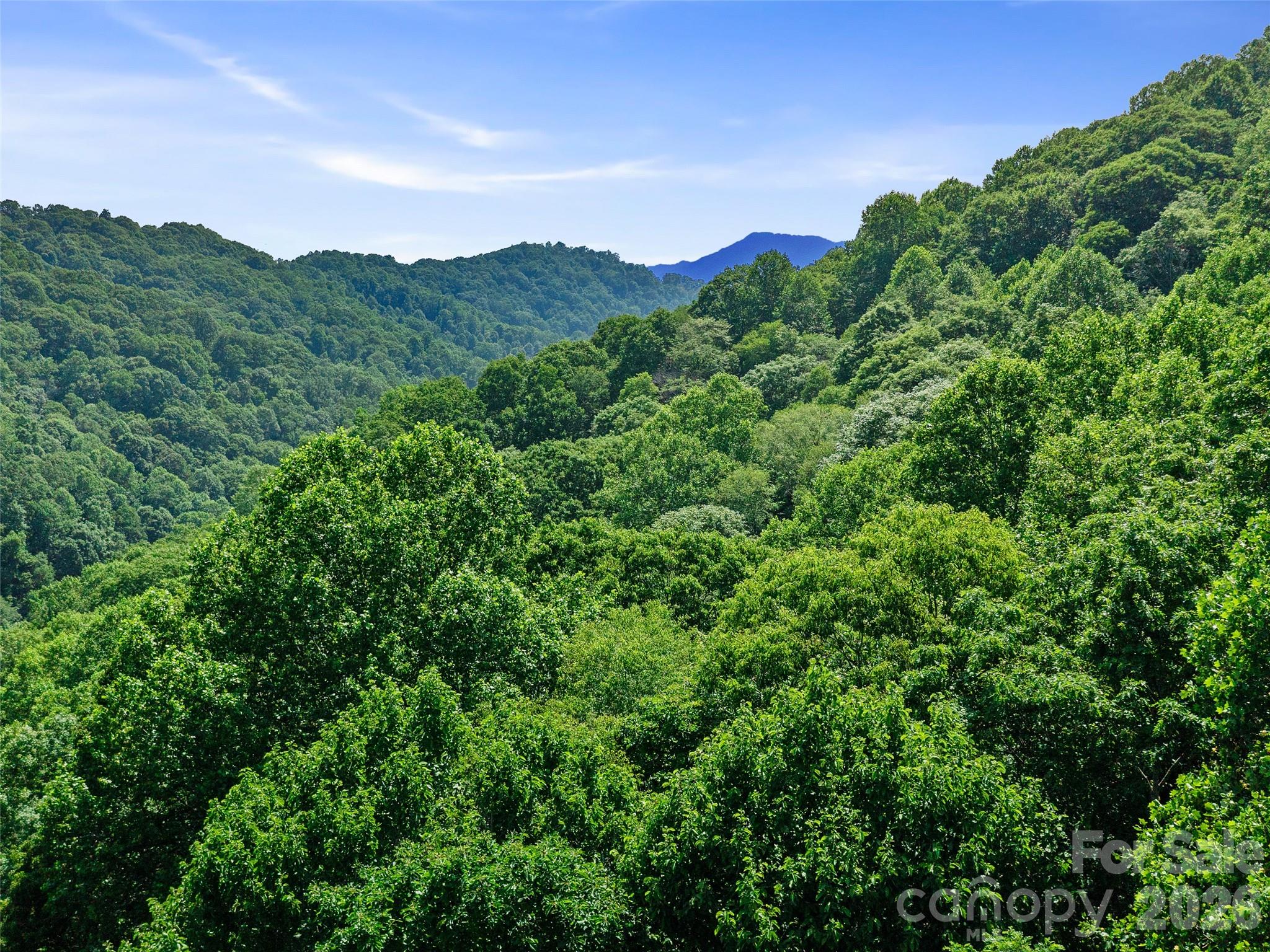 0 Lotties Creek Road Property Photo 16