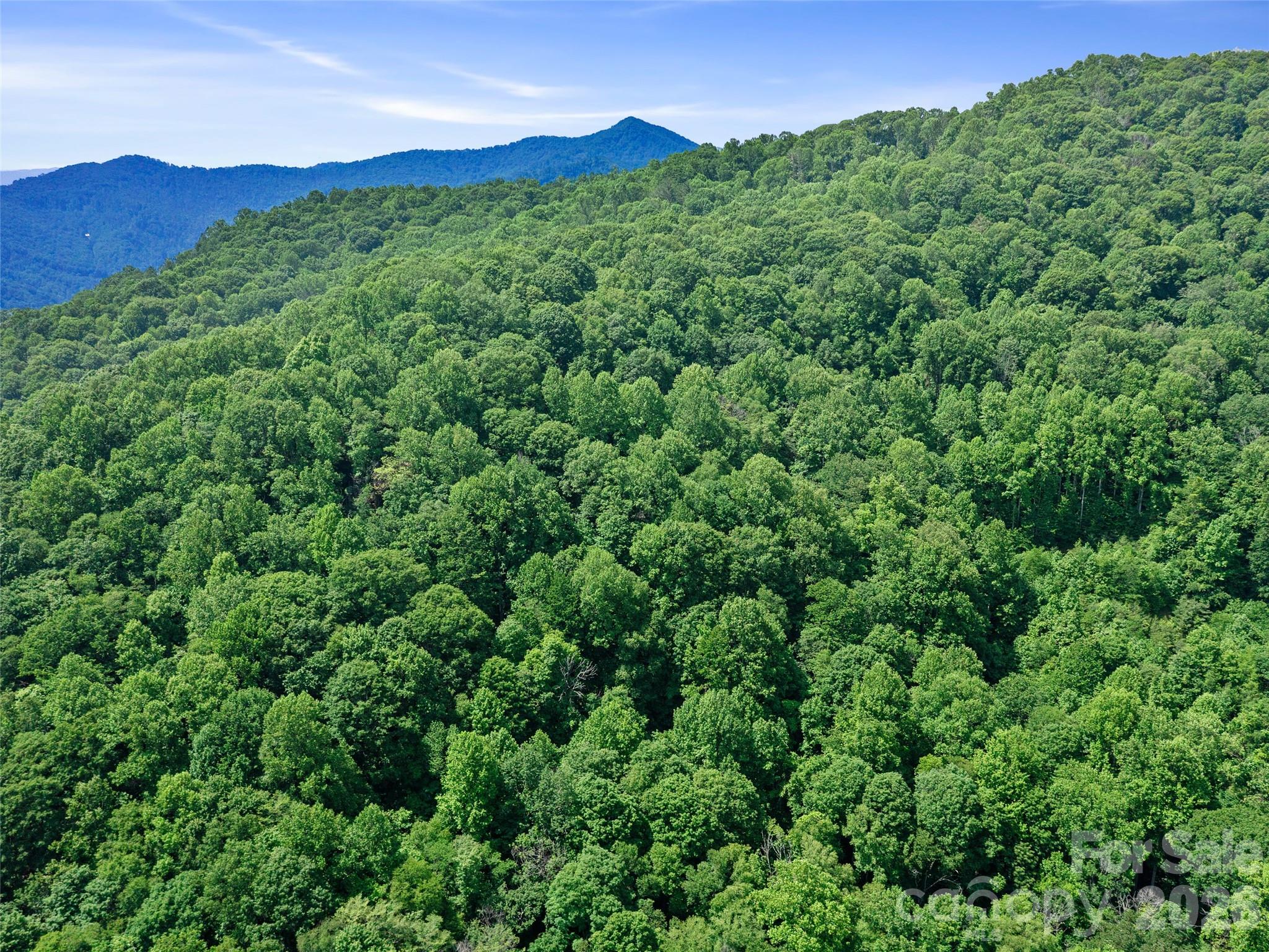 0 Lotties Creek Road Property Photo 17