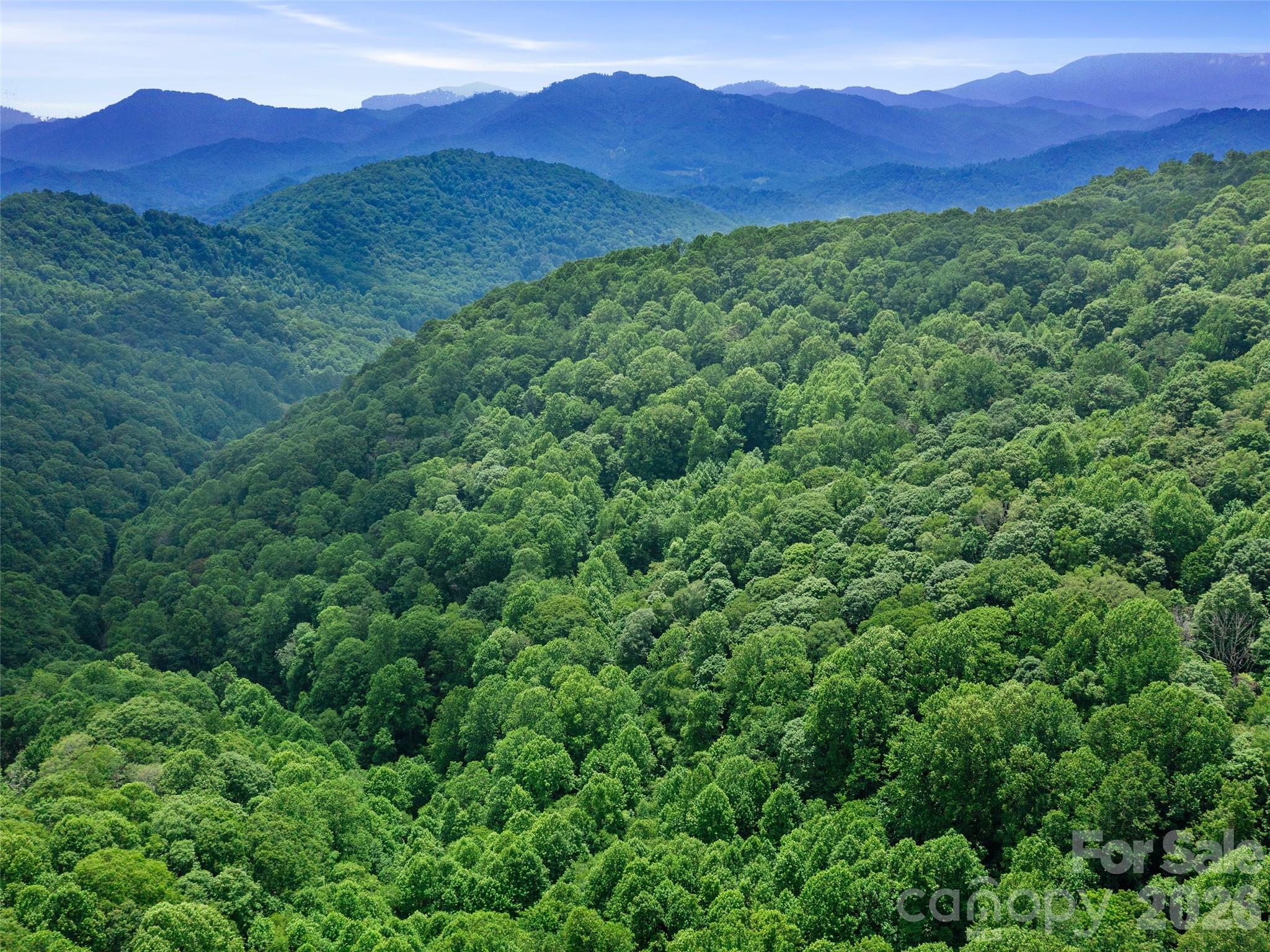 0 Lotties Creek Road Property Photo 21