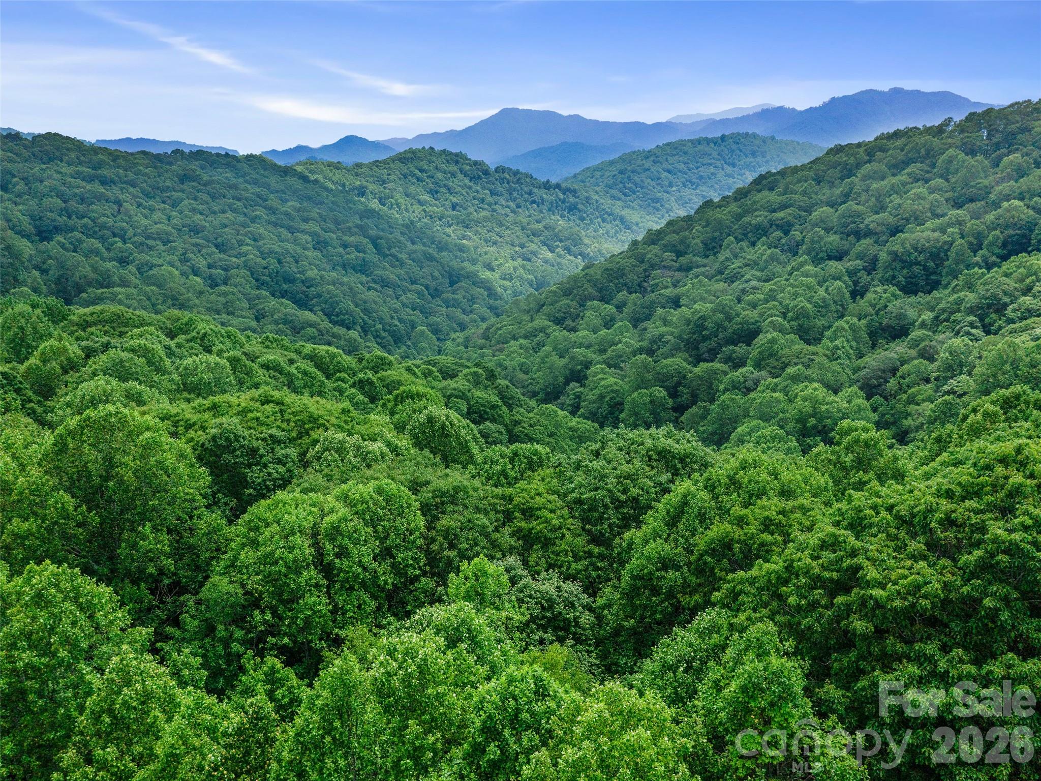 0 Lotties Creek Road Property Photo 22