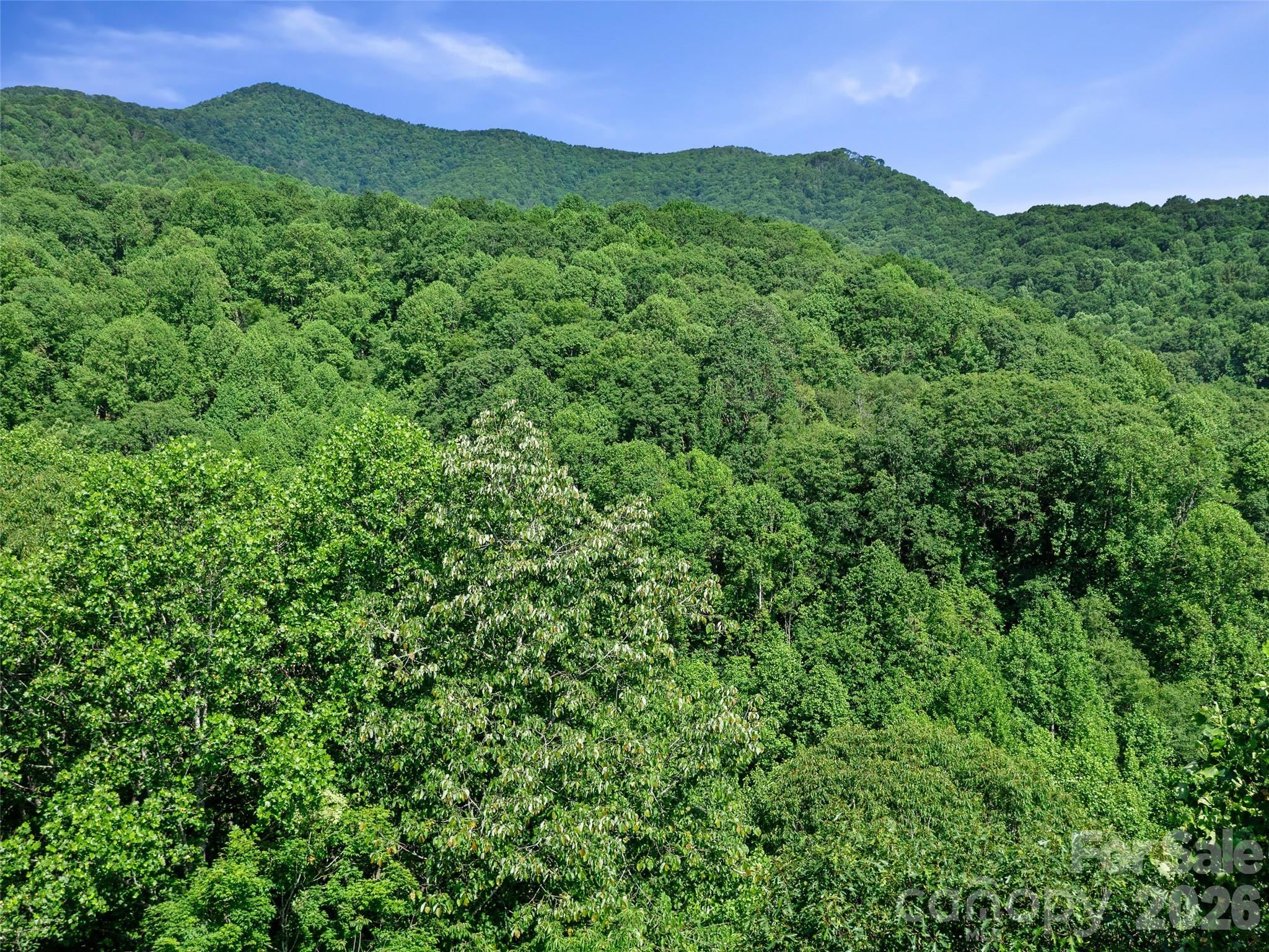 0 Lotties Creek Road Property Photo 23