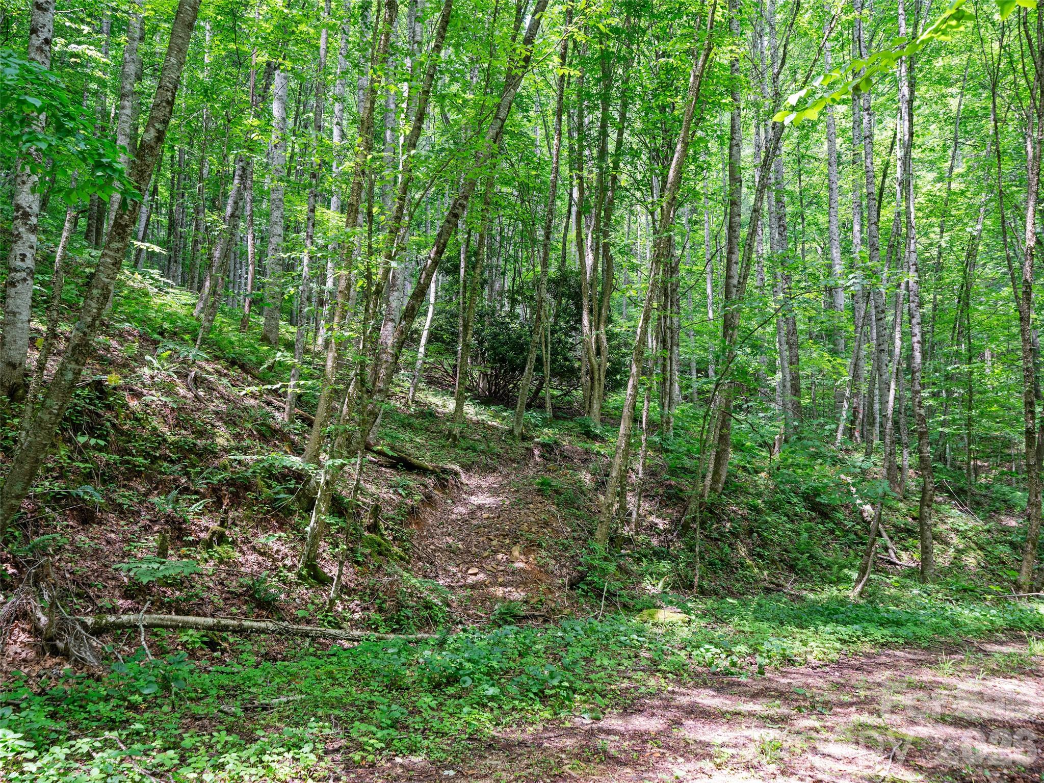 0 Lotties Creek Road Property Photo 24