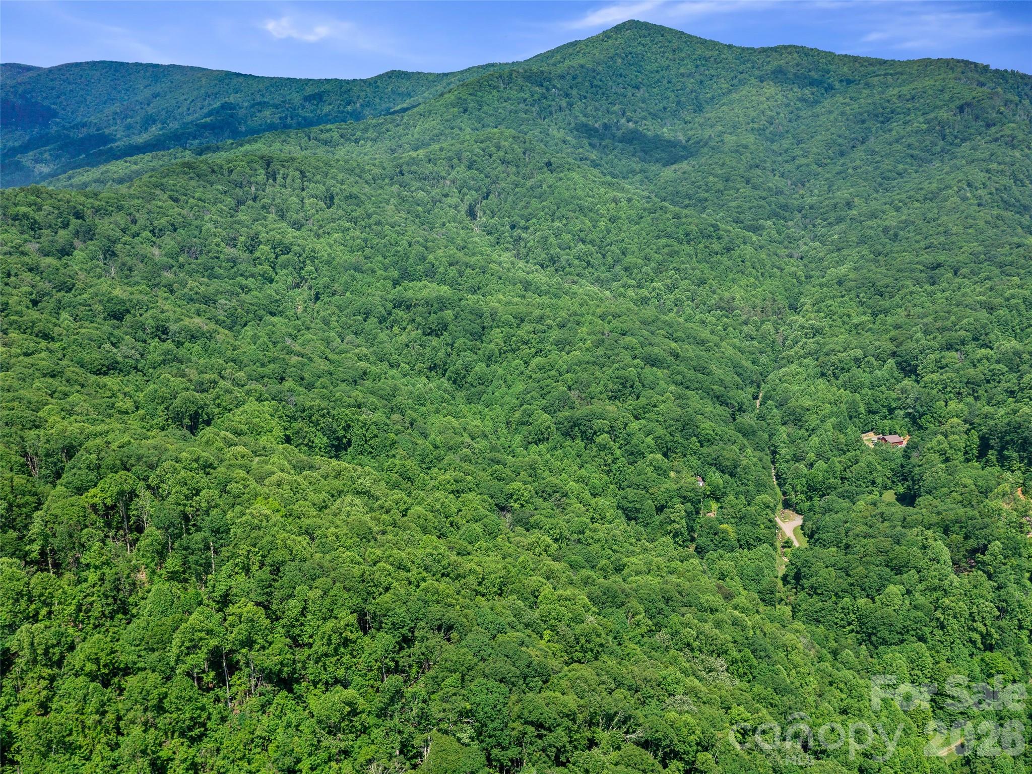 0 Lotties Creek Road Property Photo 28