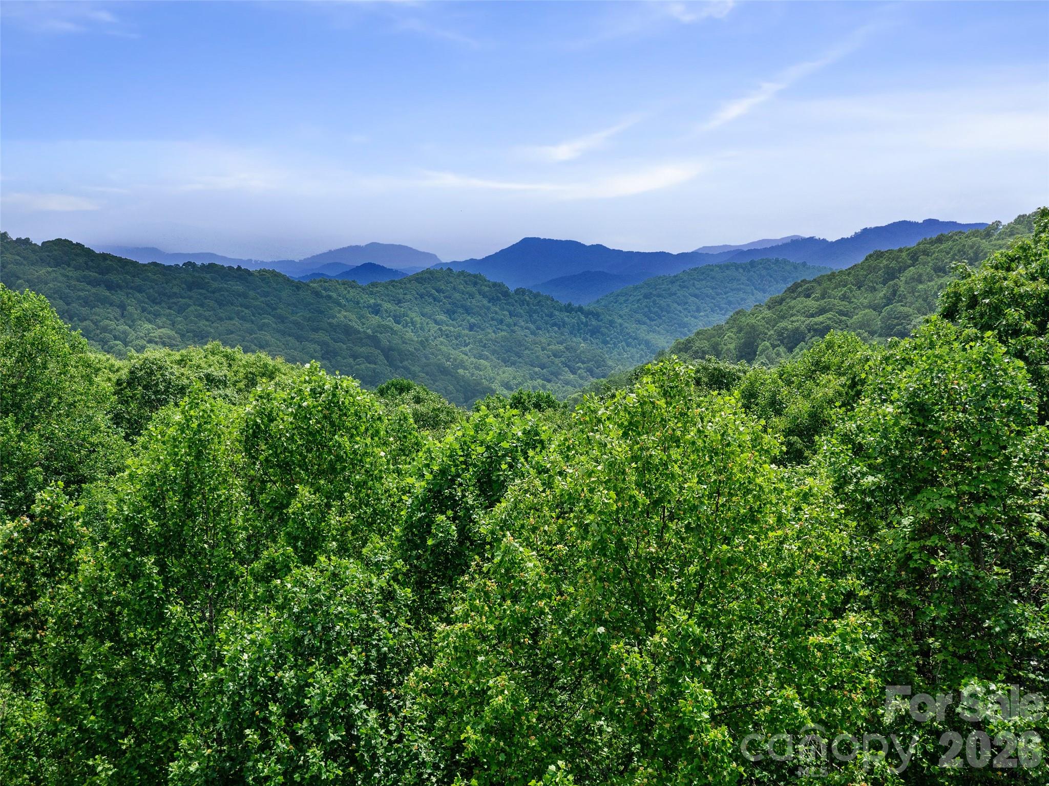0 Lotties Creek Road Property Photo 30
