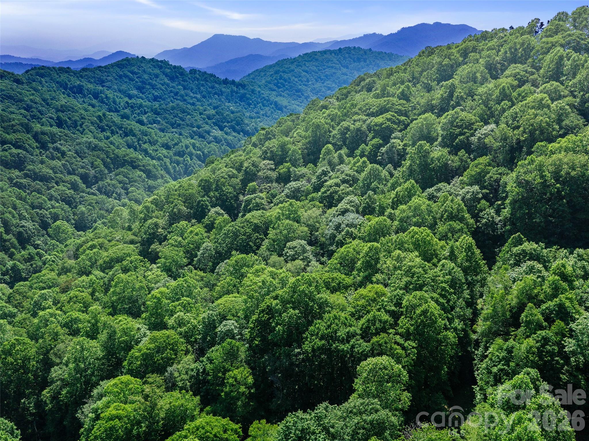 0 Lotties Creek Road Property Photo 32