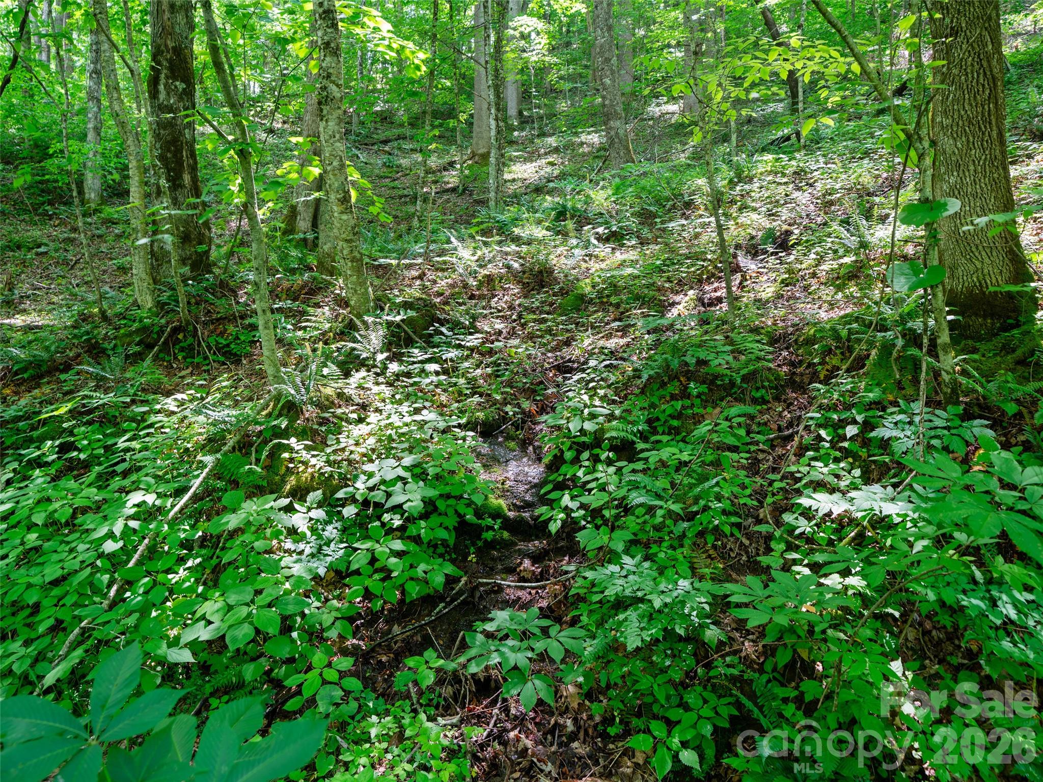 0 Lotties Creek Road Property Photo 34