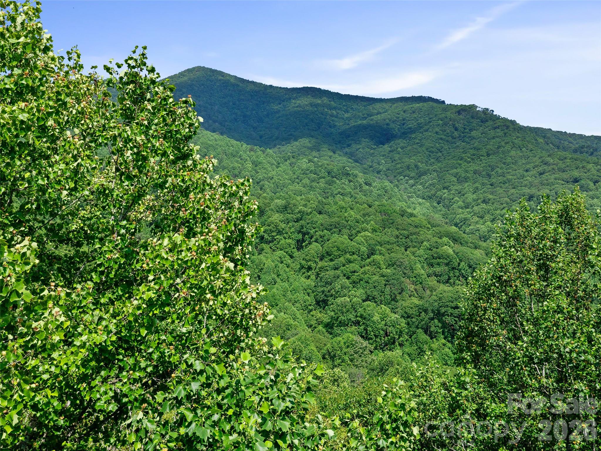 0 Lotties Creek Road Property Photo 38