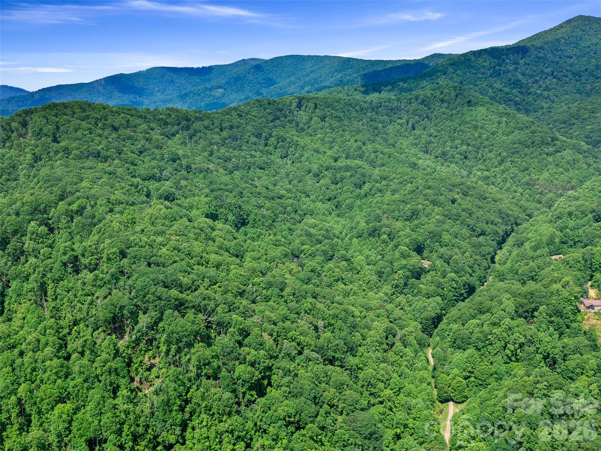 0 Lotties Creek Road Property Photo 39
