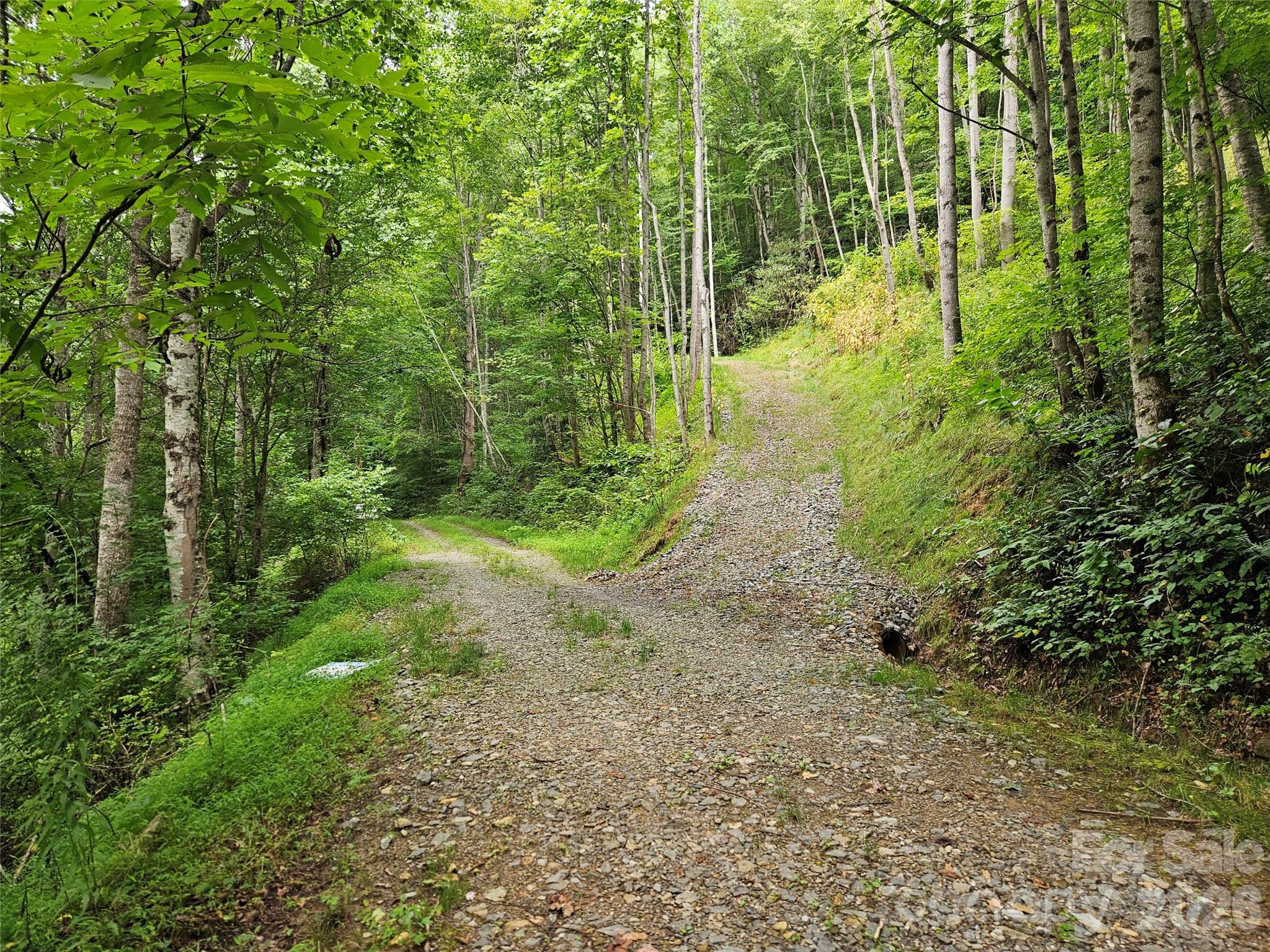 00 Wayward Cove Property Photo 3