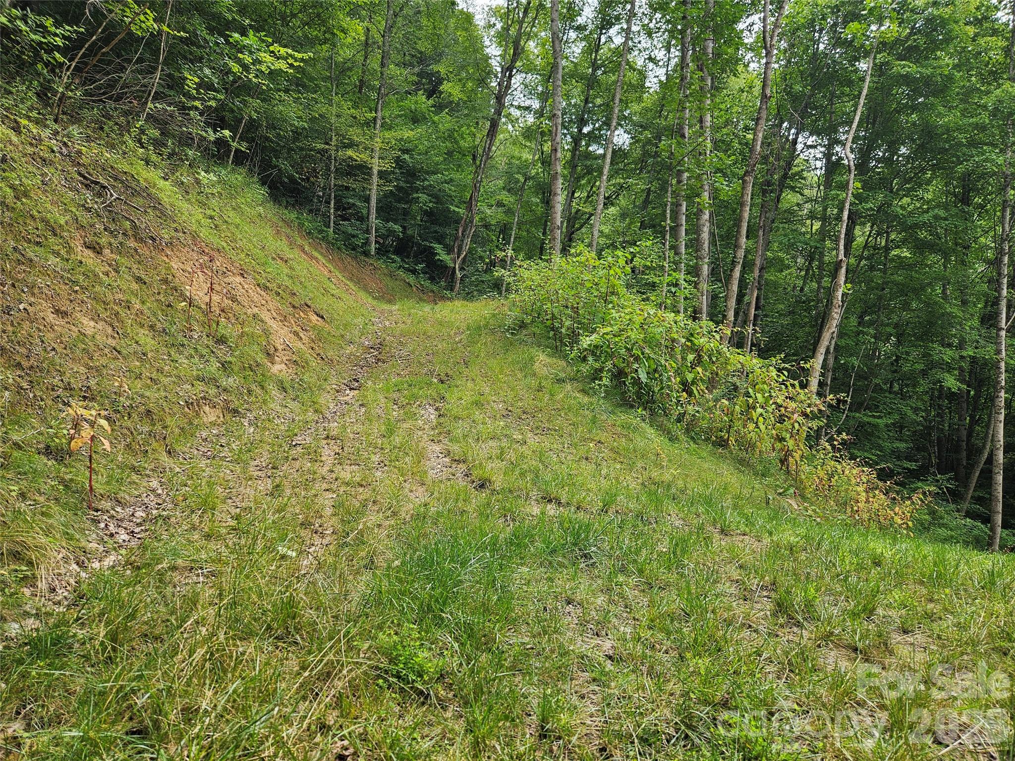 00 Wayward Cove Property Photo 5